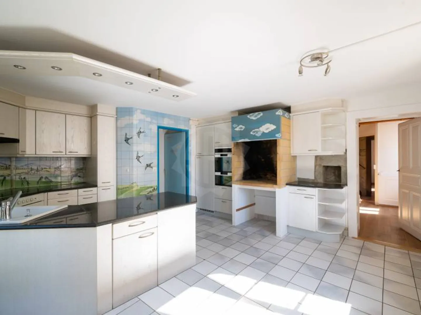 Charming Villa - Dardagny - Photo 6 of 12