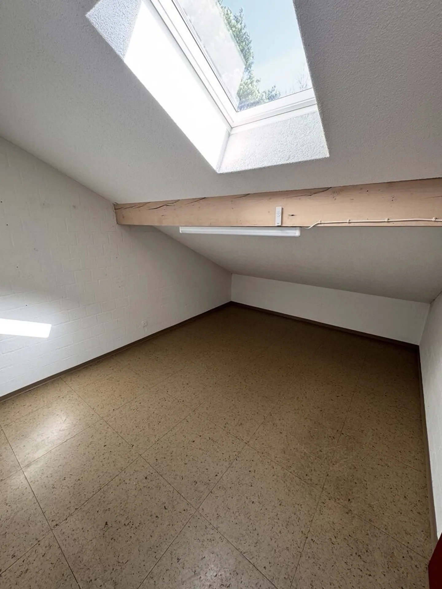 Room for creative activities available - Photo 2 of 3