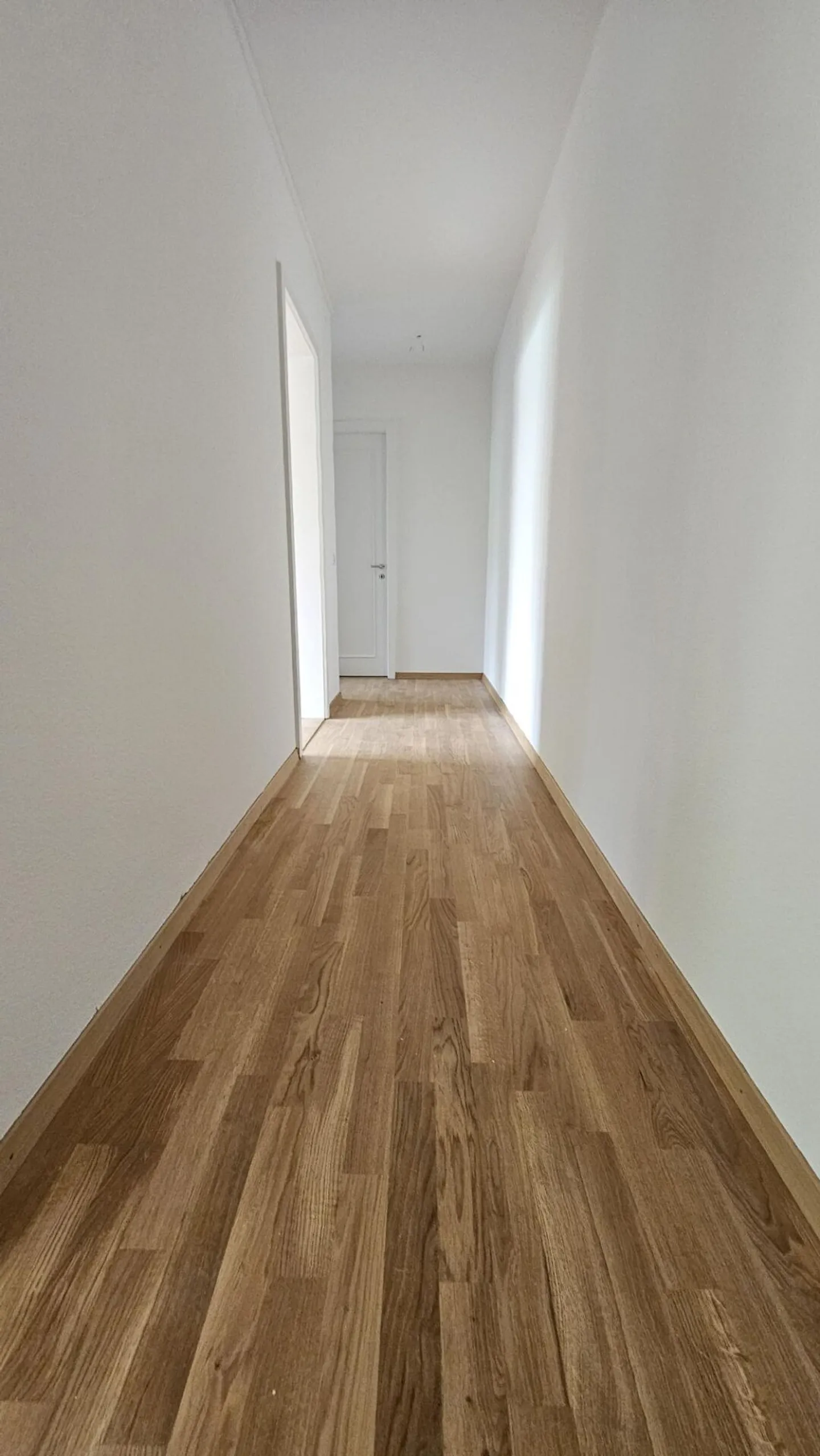 2.0-ZWG / OG / sinistra - Foto 6 di 7