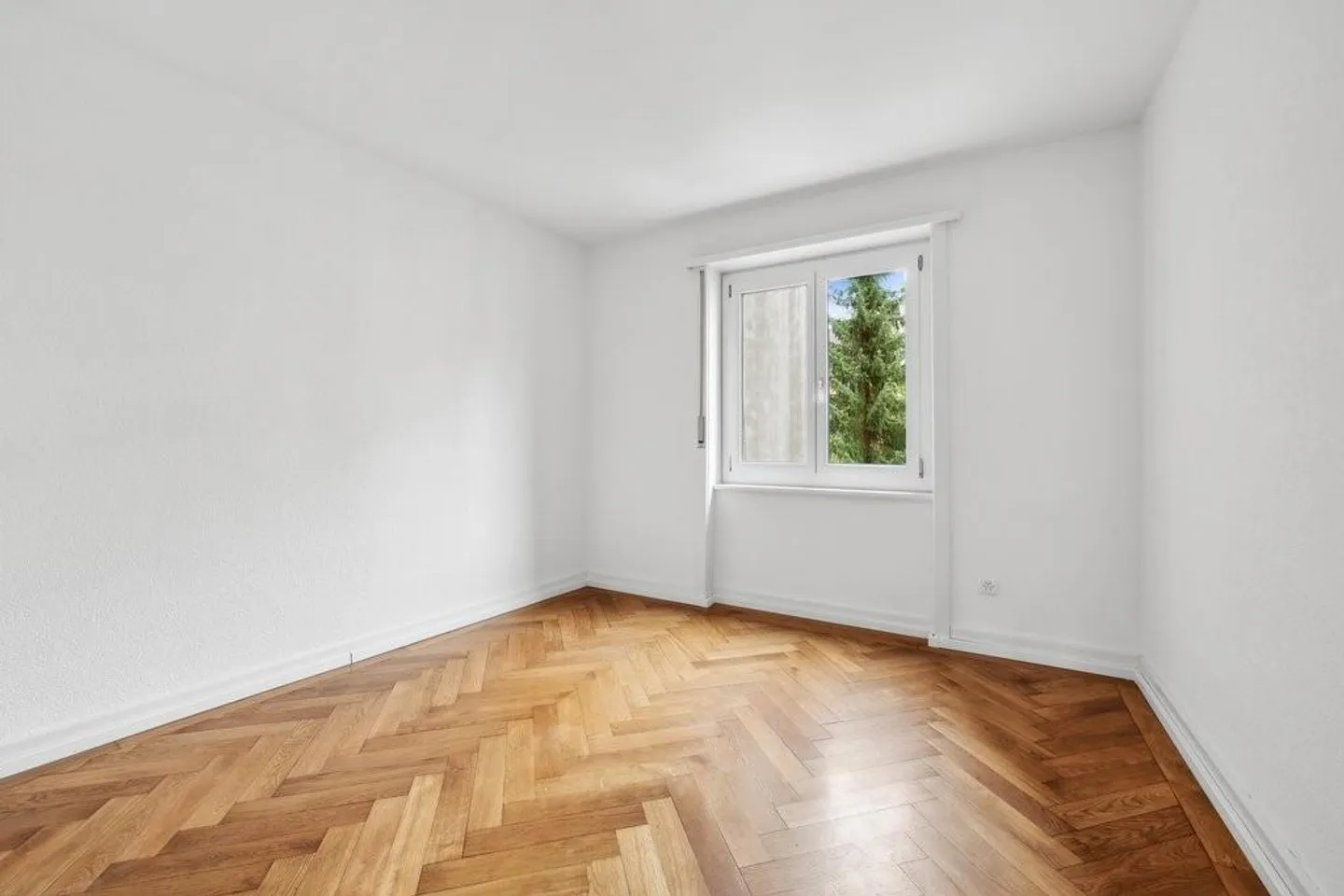 Geräumige Wohnung in Freiburg - Foto 3 von 9
