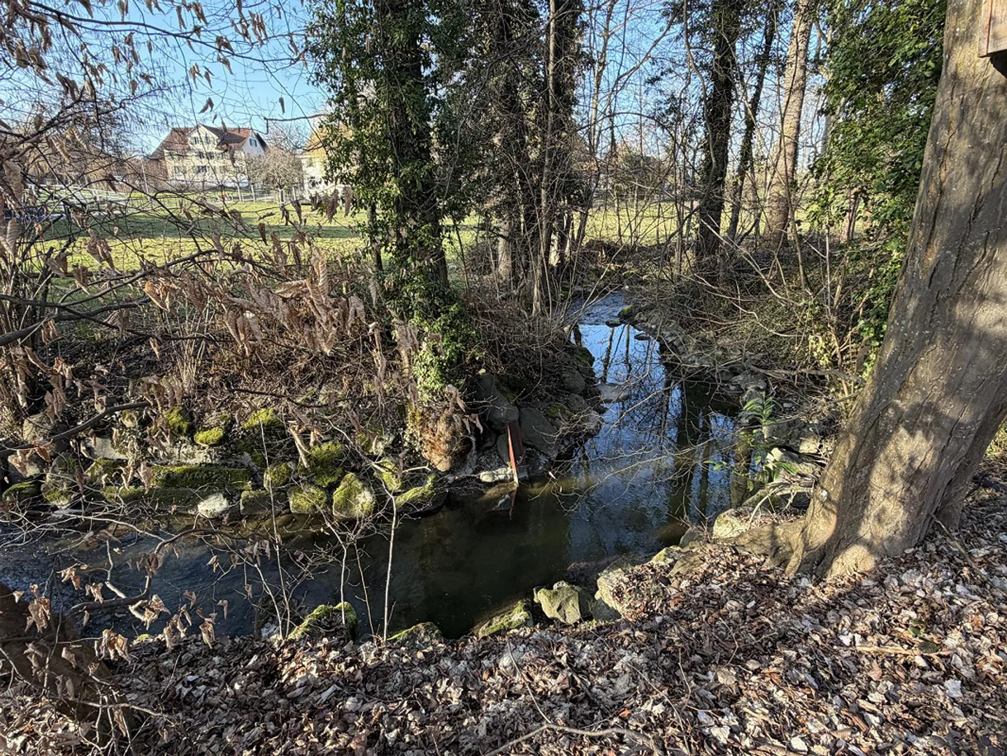 Vivere tranquillo e soleggiato in un quartiere privilegiato. - Foto 25 di 26