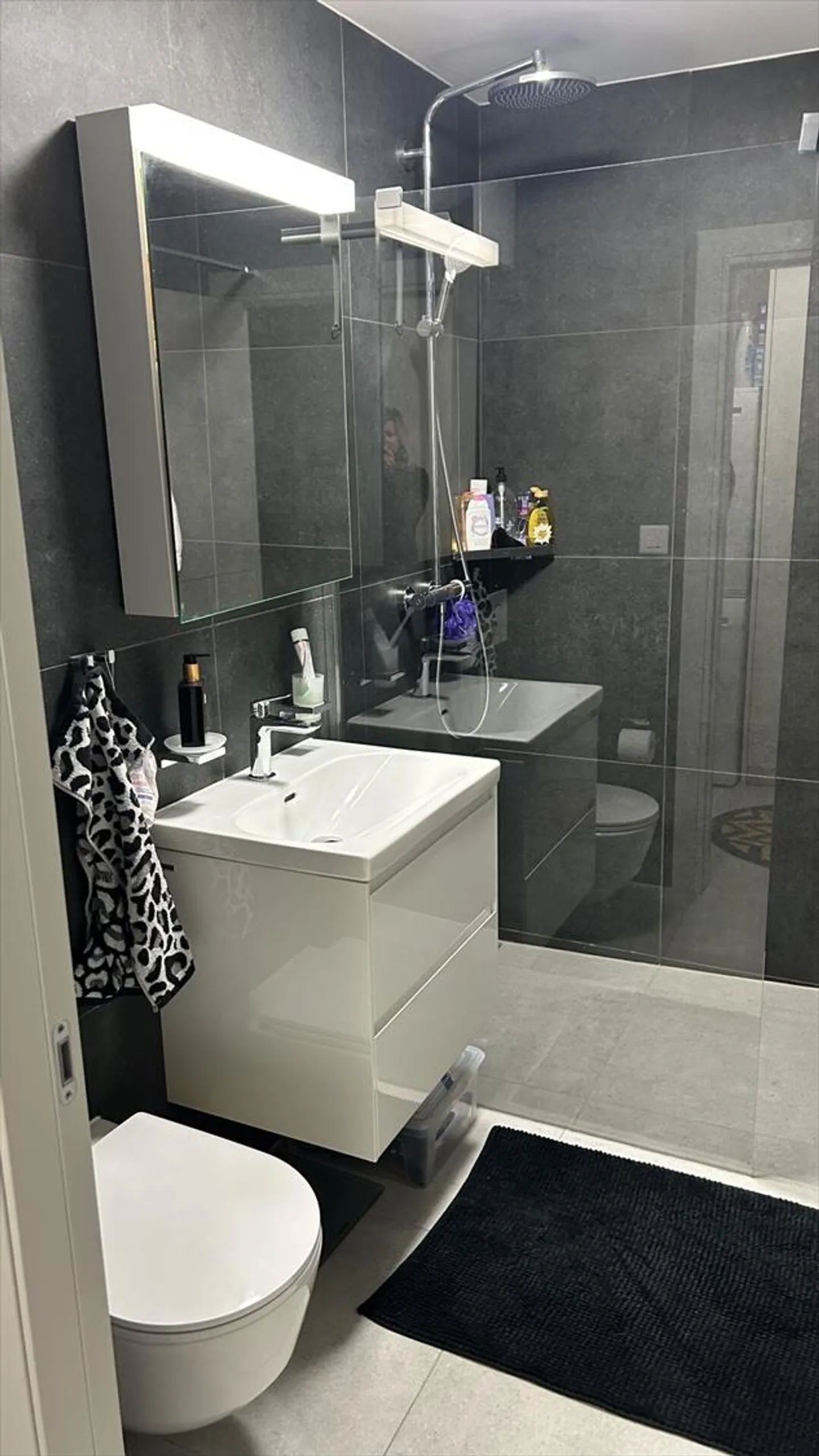 Very nice 2.5 room apartment in Bex - Photo 4 of 6