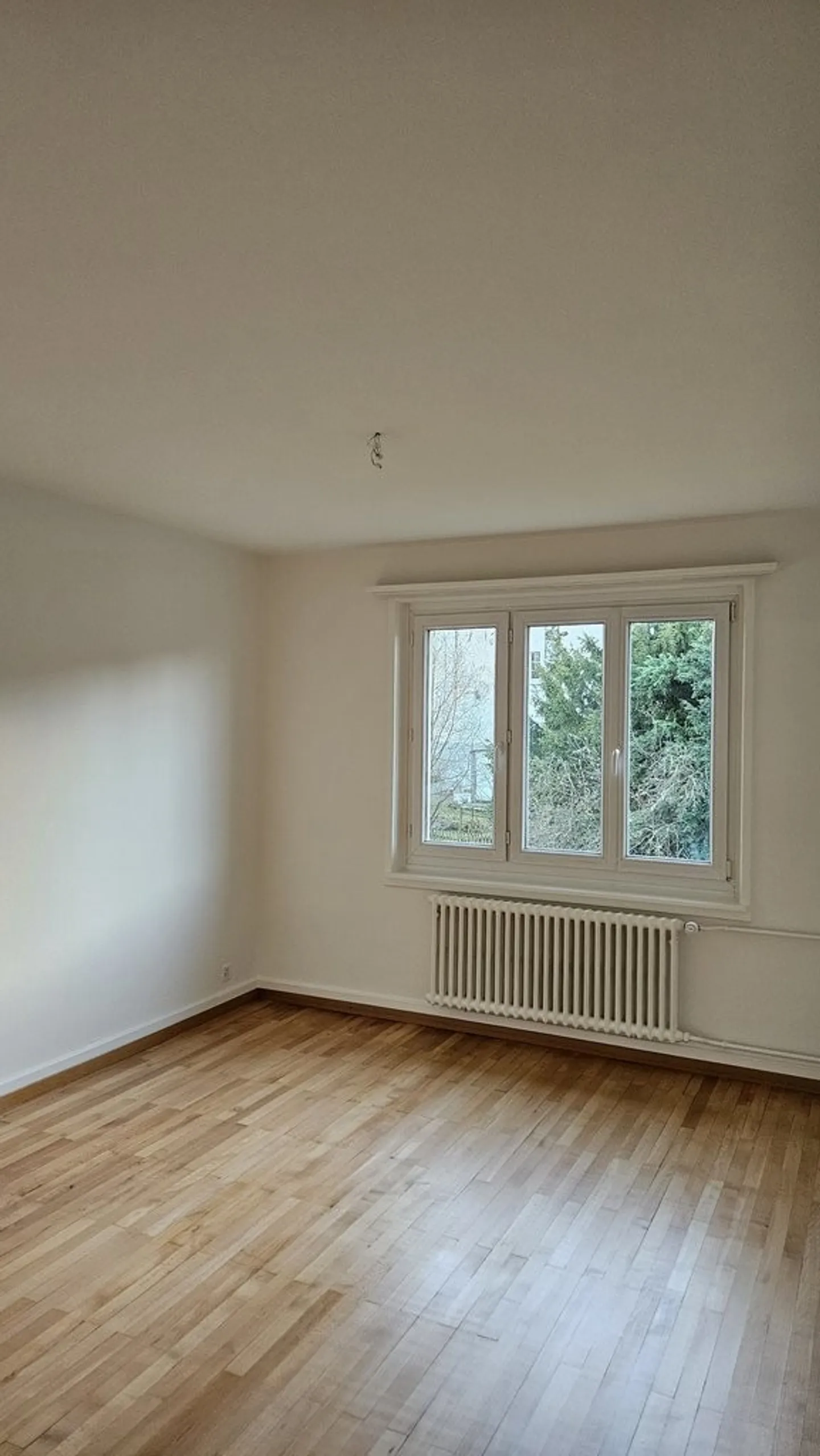 Sunny residential area in Zurich-Affoltern - Photo 5 of 8