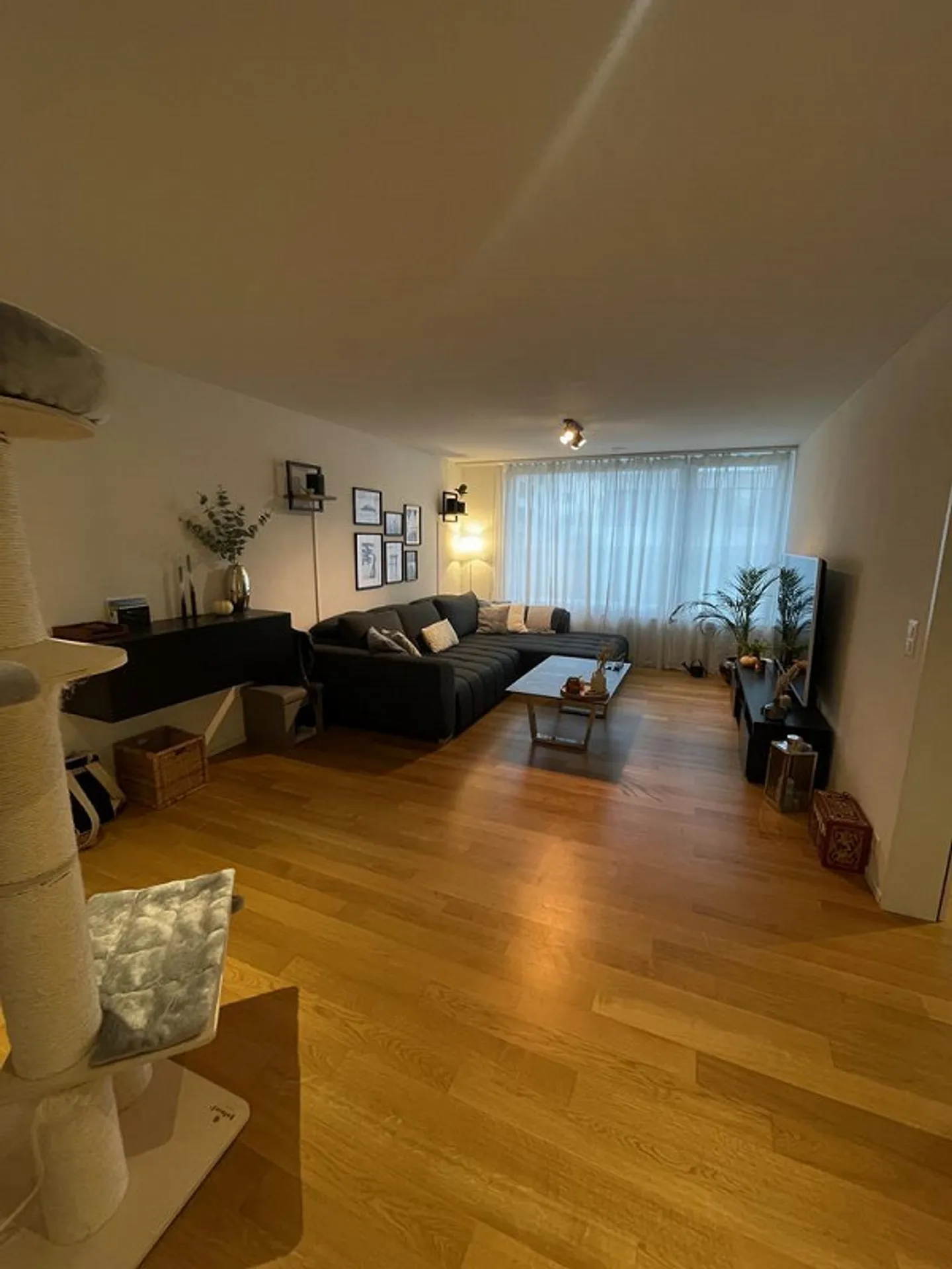 Modern 3.5 Apartment Directly on the Rhine - Photo 9 of 9