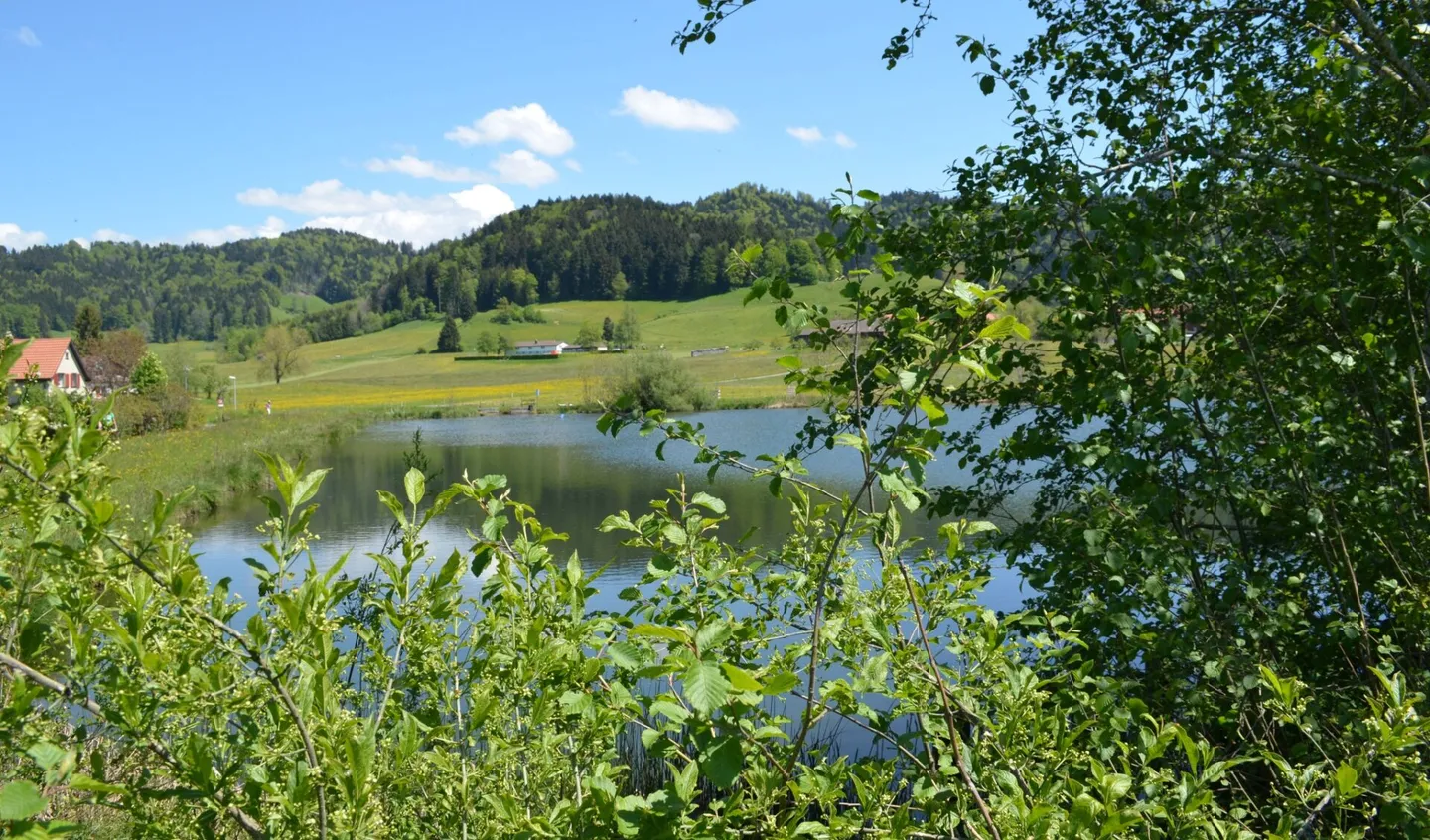 Lichtdurchflutete 4,5 Zimmer Maisonettewohnung mit Galerie, Terrasse und vielseitigem Wohngefühl - Photo 15 of 16