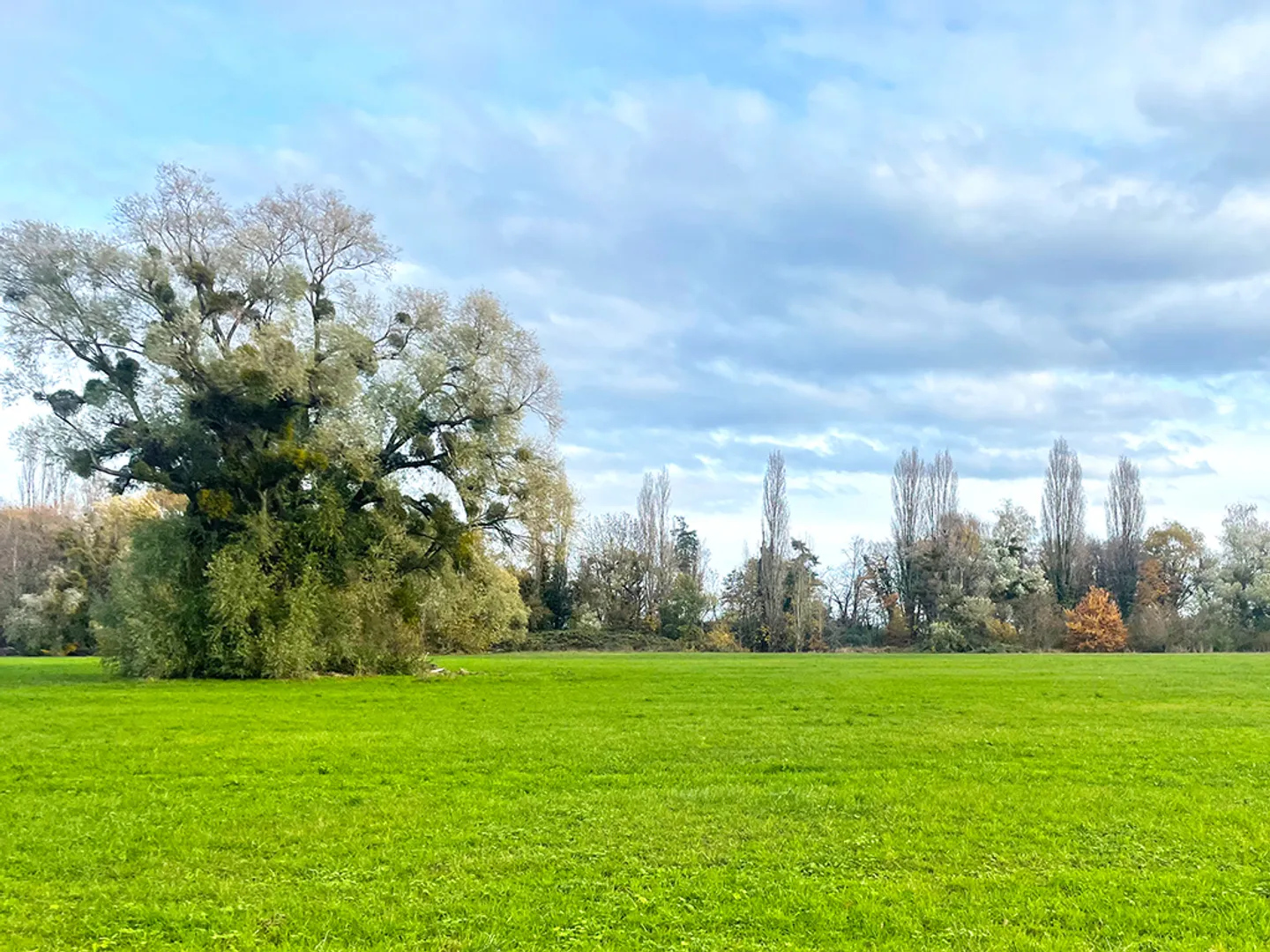 Casa 5 locali - Foto 6 di 6