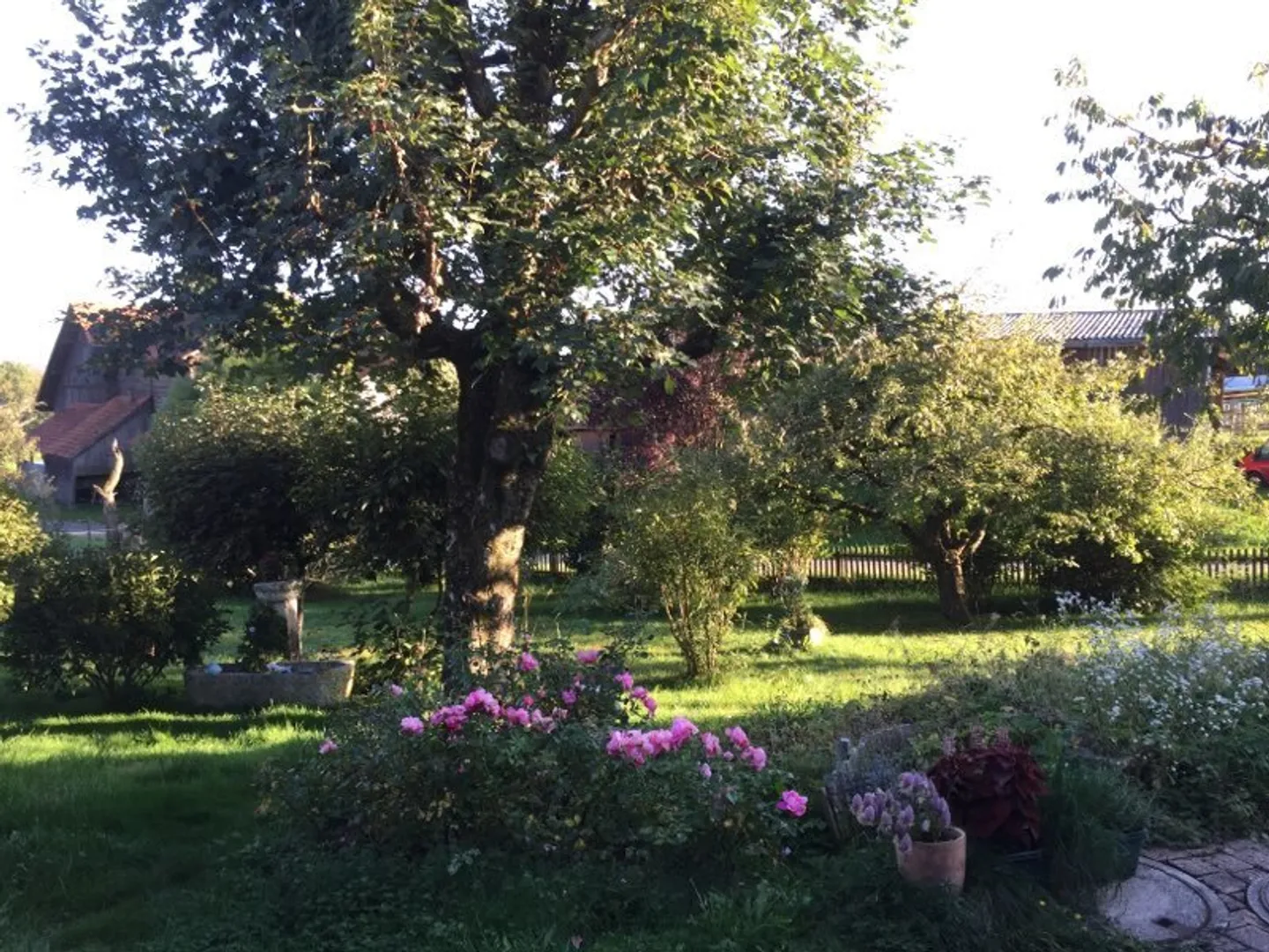 Terrain à bâtir à la campagne pour une maison familiale - Photo 3 sur 3