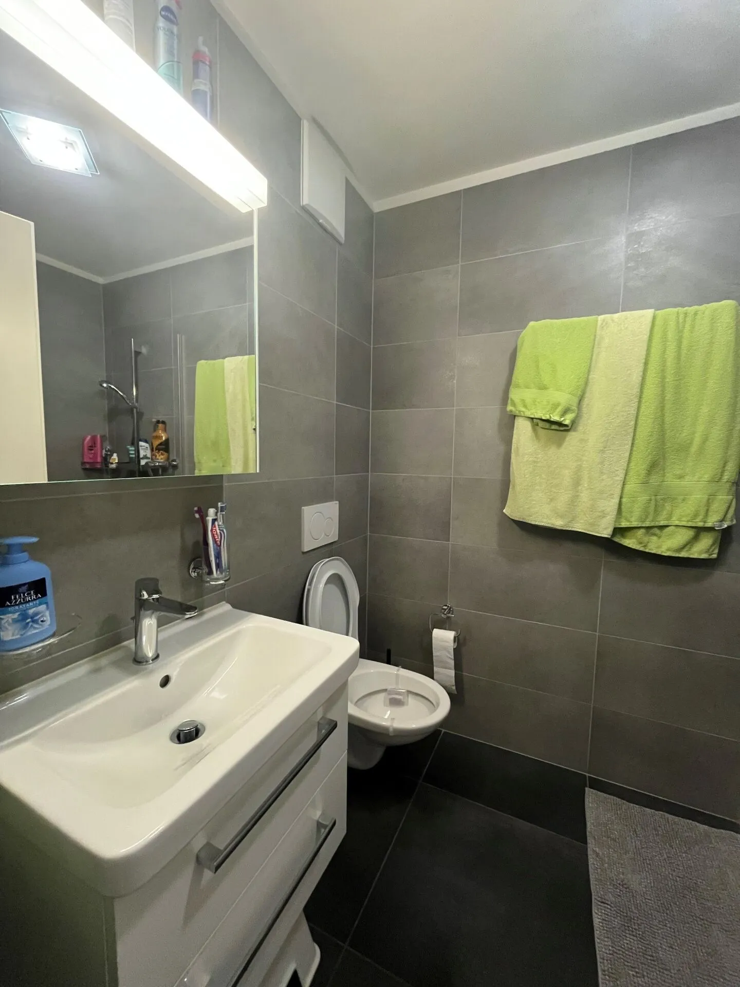3.5-room apartment with garden Gordola - Photo 12 of 13