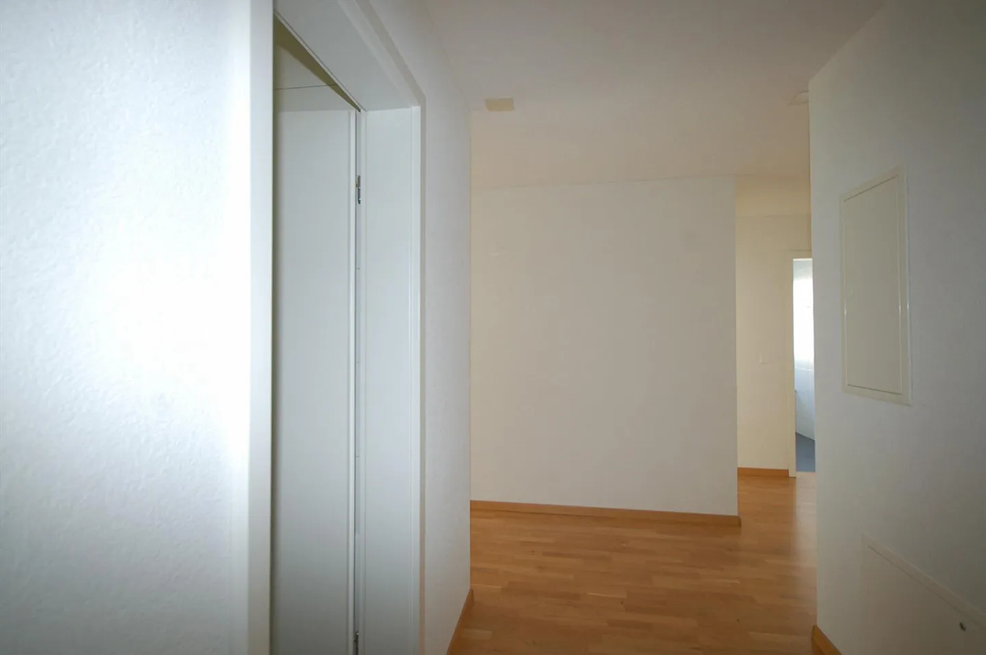 Luminoso e accogliente appartamento di 4.5 locali - Foto 1 di 11