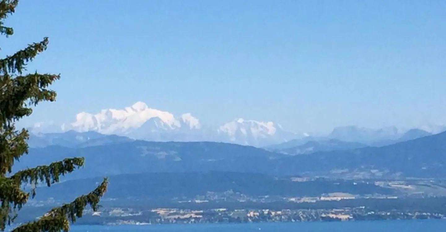 Offrez-vous cette superbe villa d'exception, avec vue sur le lac et les alpes - Foto 2 di 11