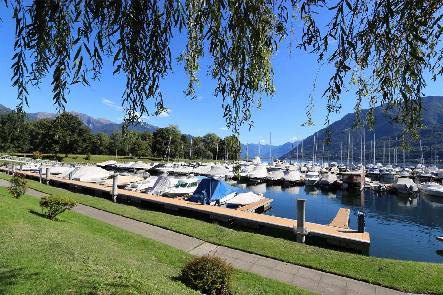 Nouvel appartement de 3,5 pièces à Ascona avec jardin et grande terrasse - Photo 6 sur 8
