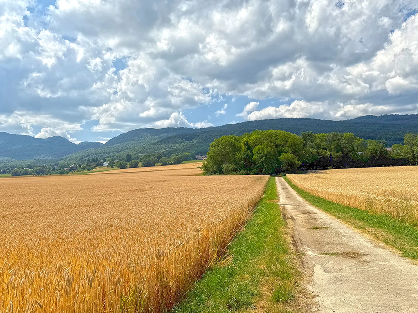 Villa 6.5 rooms - Photo 2 of 4