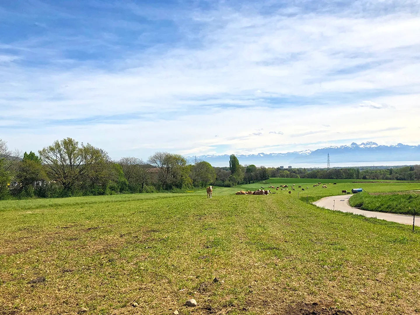 Villa 6.5 rooms - Photo 4 of 4