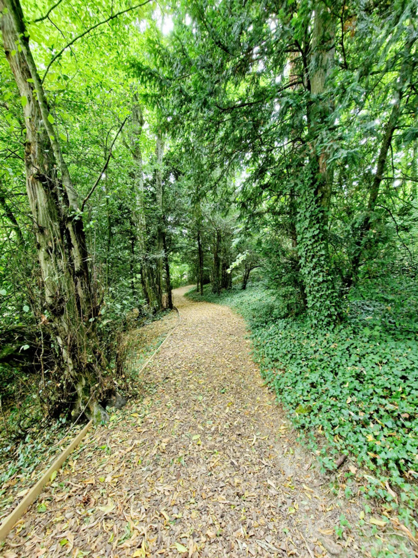 Appartement terrasse fabuleux avec jardin, piscine, salle de fitness et tennis - Photo 11 sur 11