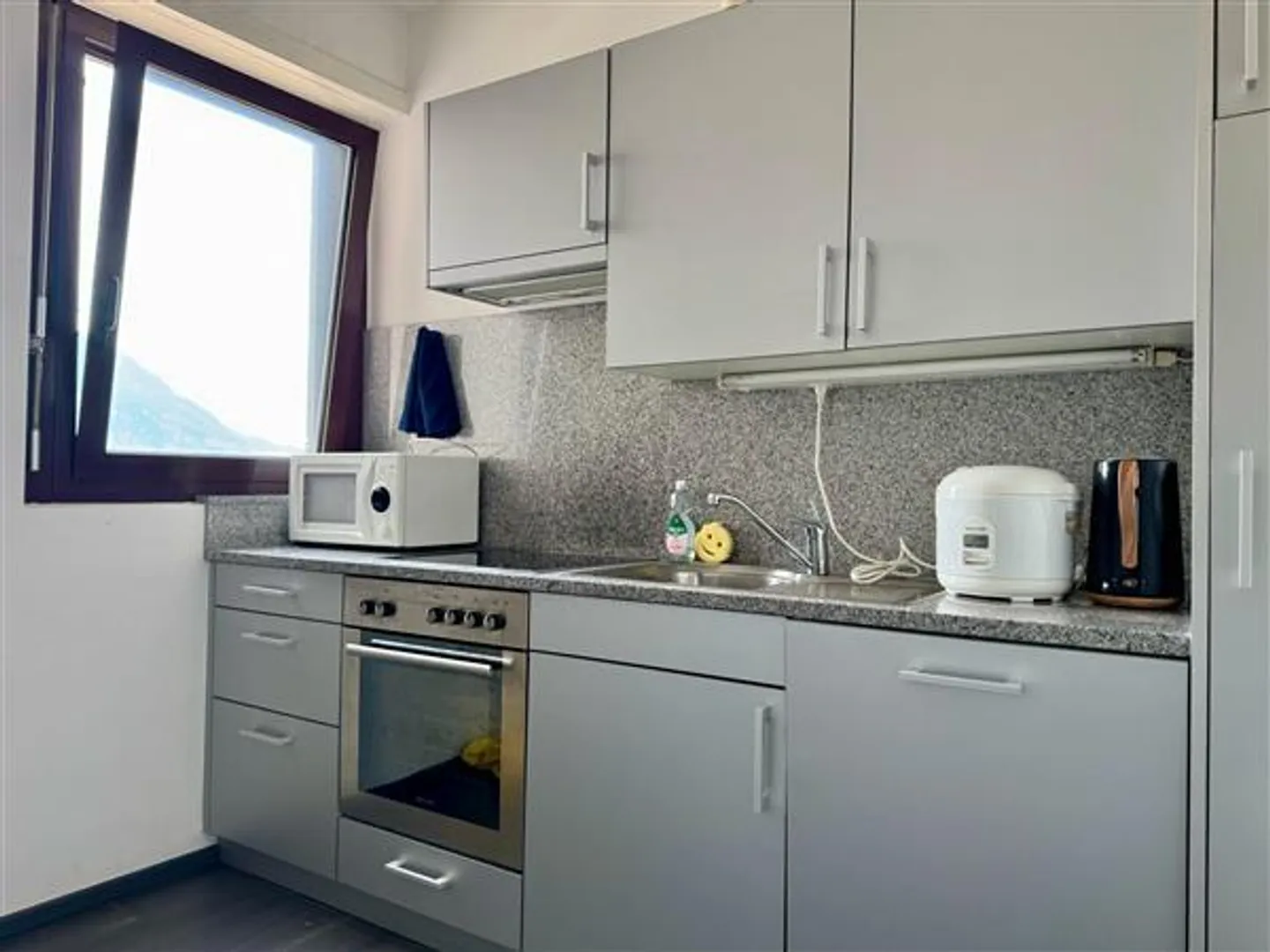 Viganello: 2.5-Zimmer-Wohnung - Foto 5 von 11