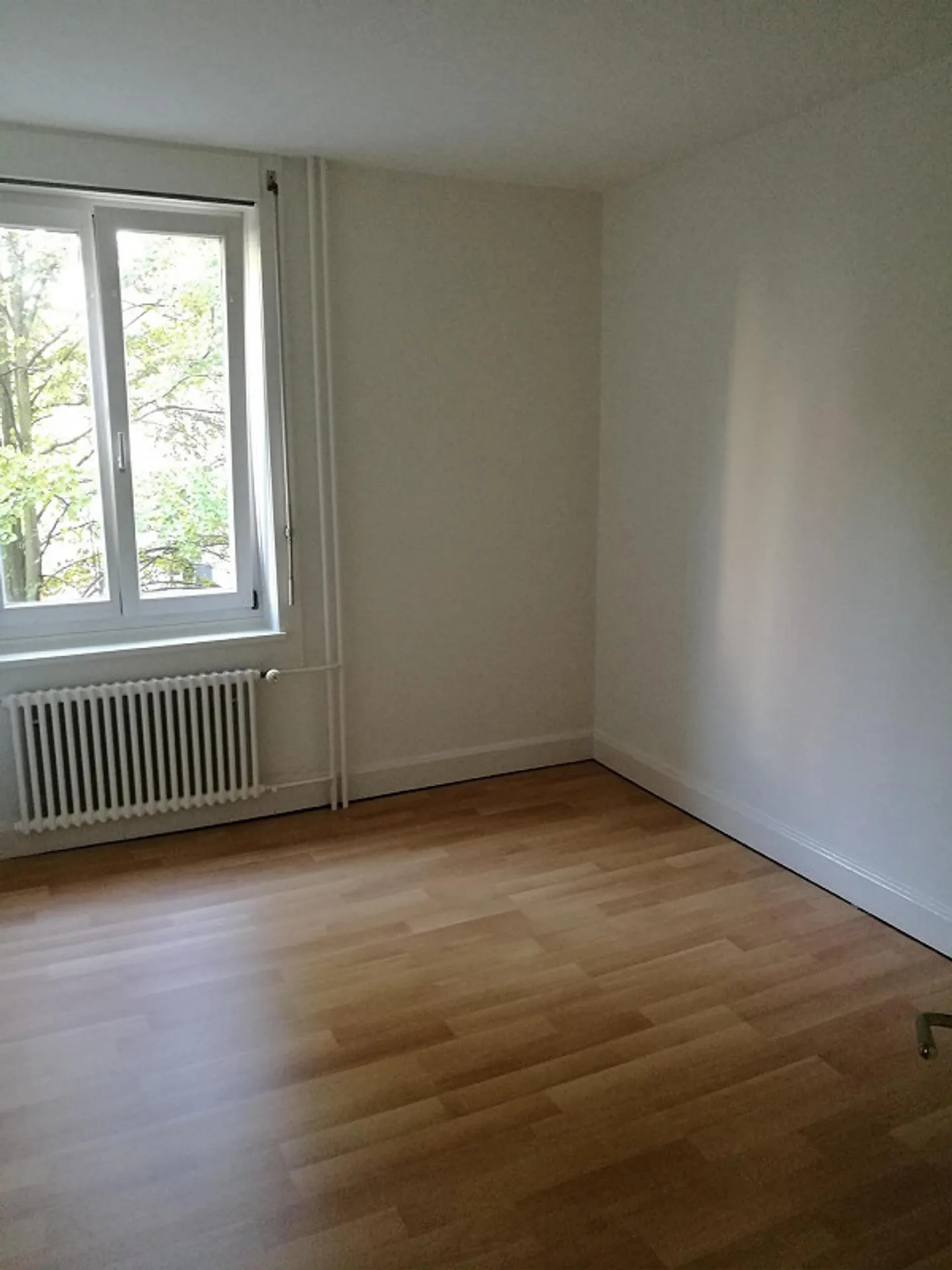 Appartamento antico centrale e affascinante cerca inquilini - Foto 4 di 5