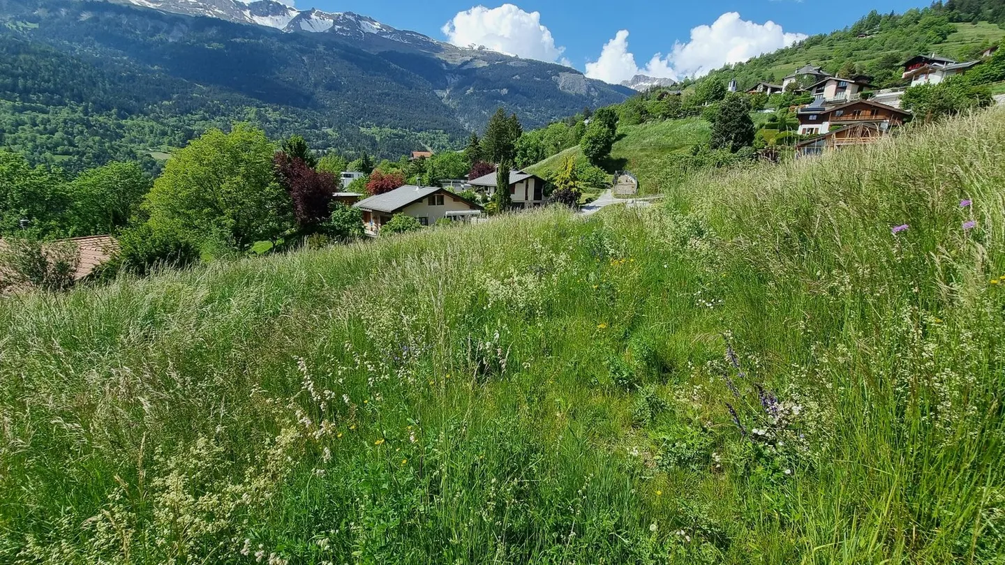 Building Land - 809 m2 - Icogne - EXCLUSIVITY - Ref. 10245445 - Photo 5 of 7