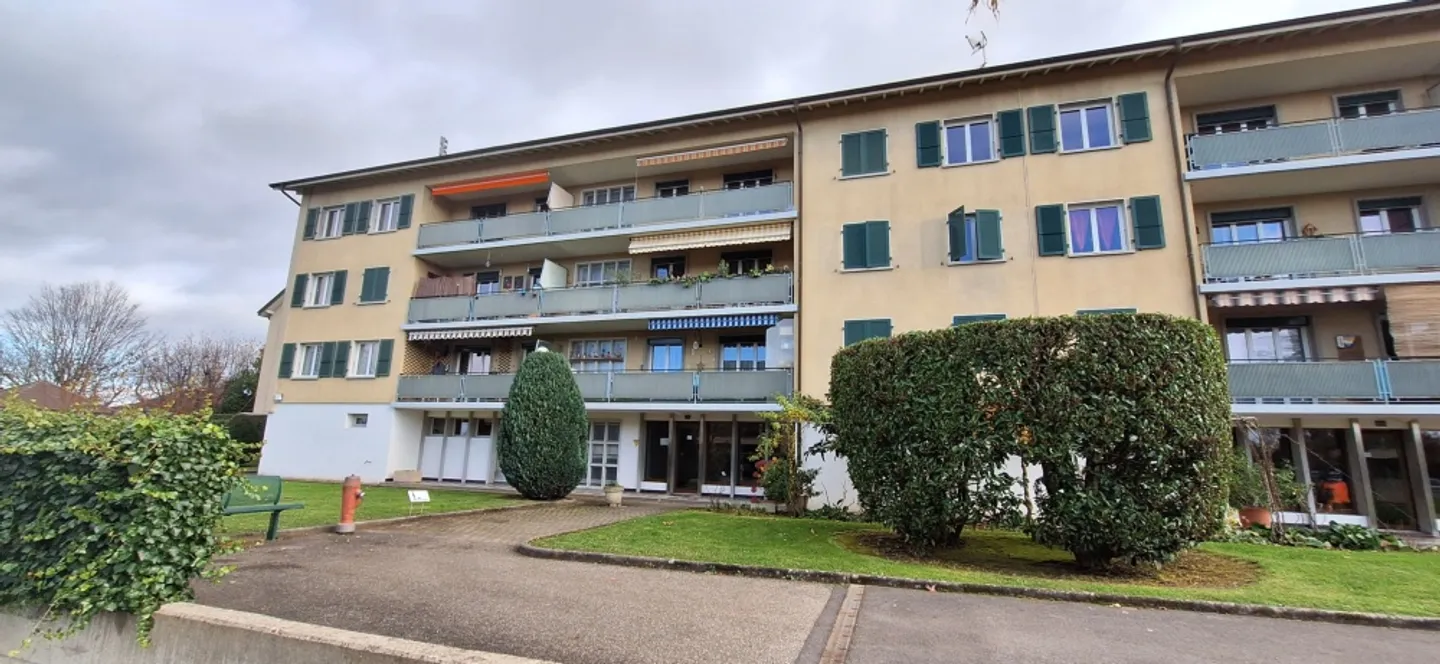 Einlage - Foto 1 von 1