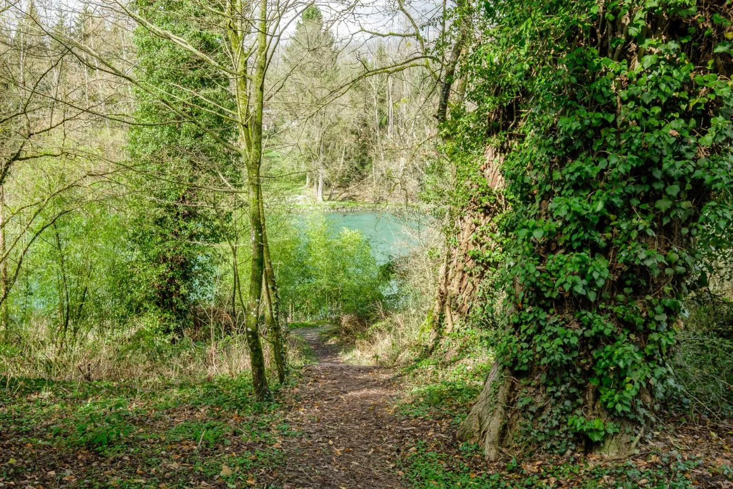 Casa a schiera 7 stanze - Foto 9 di 9