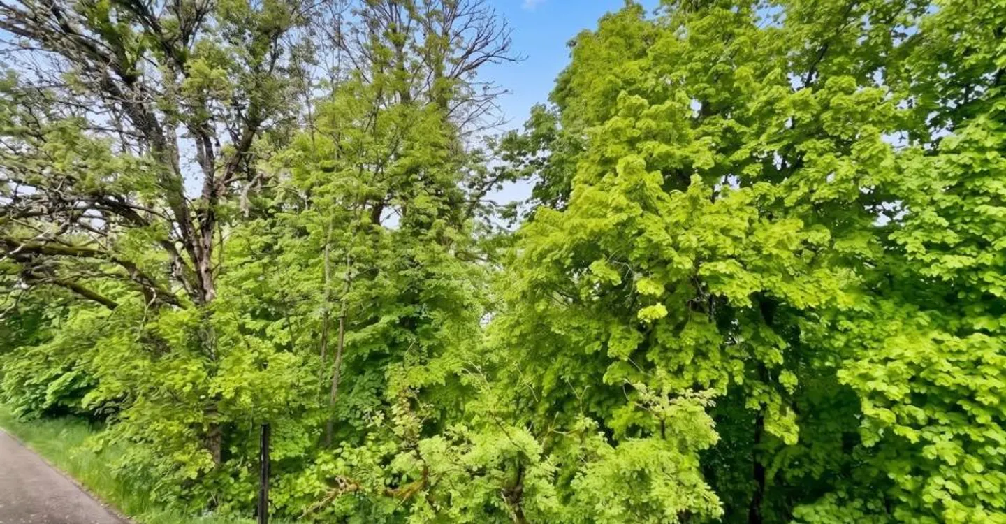 En exclusivité: Maison individuelle, à rénover aux Brenets - Photo 4 sur 12