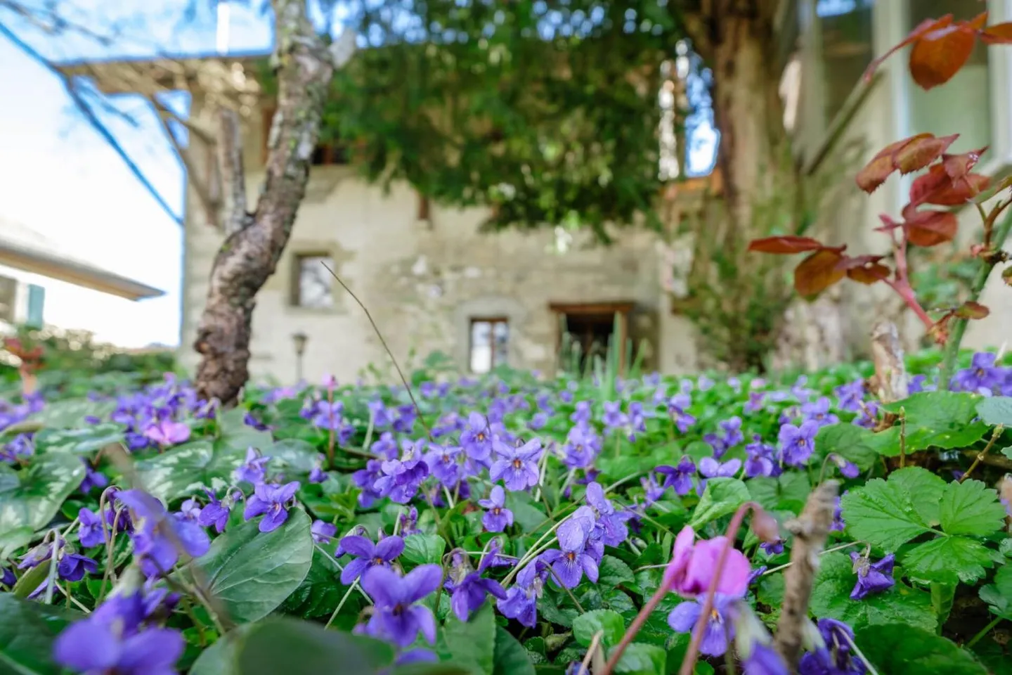 Casa a schiera 7 stanze - Foto 1 di 9