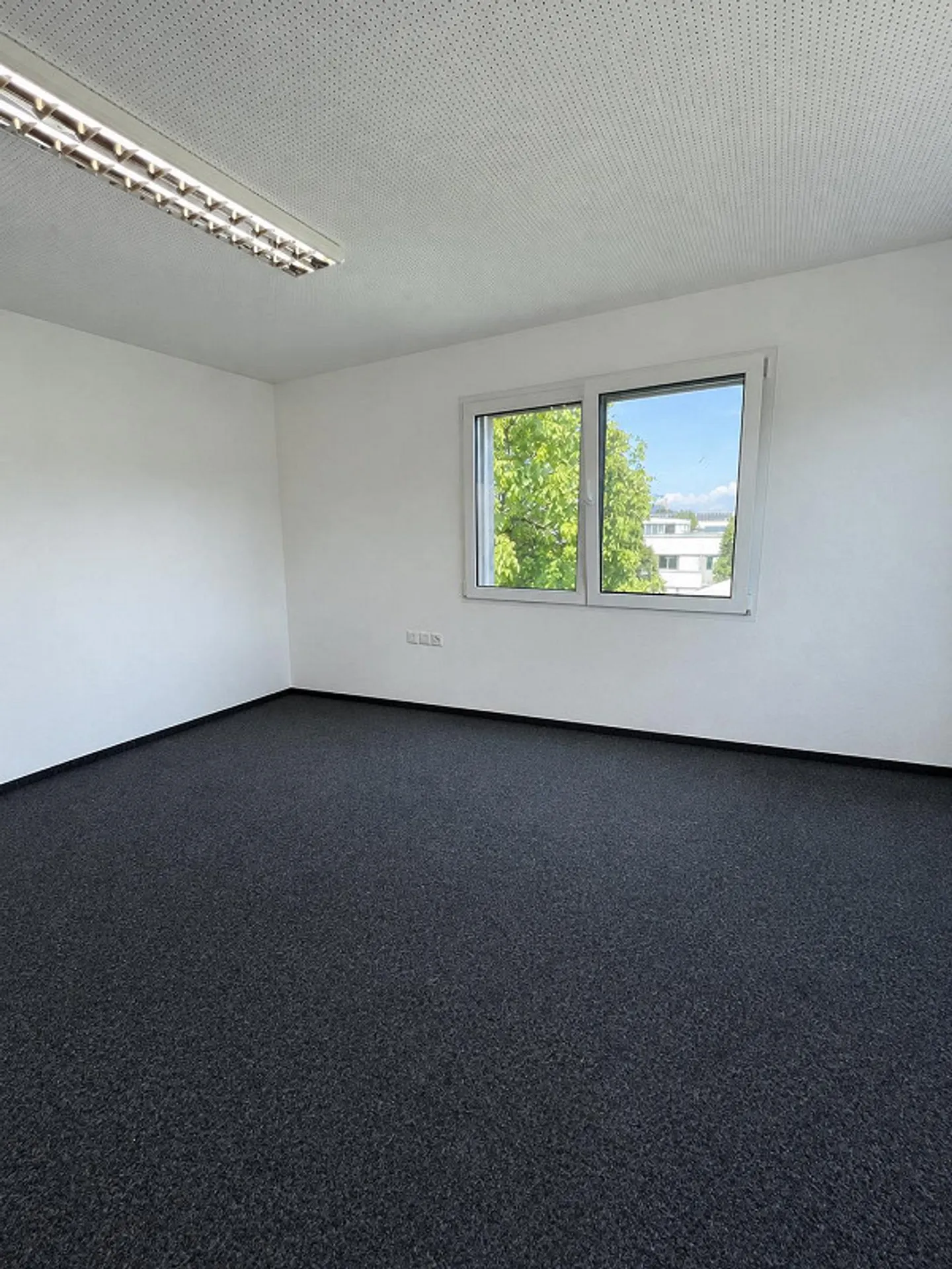 Büroflächen zur Miete in Au SG - Foto 3 von 7