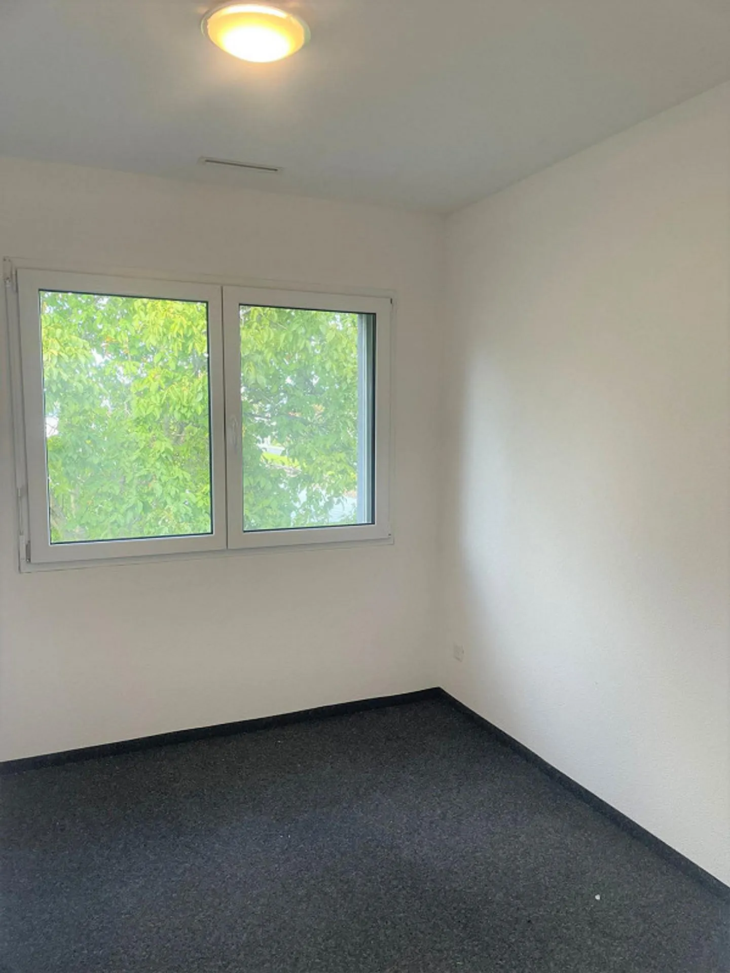 Büroflächen zur Miete in Au SG - Foto 5 von 7