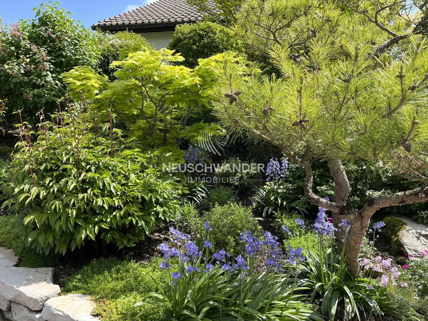 Villa 7.5 pièces - Photo 3 sur 13