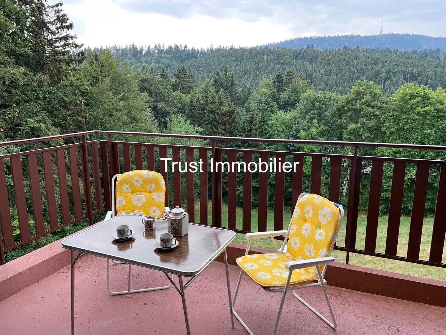 Charmantes Studio mit schönem Blick in St-Cergue - Foto 1 von 17