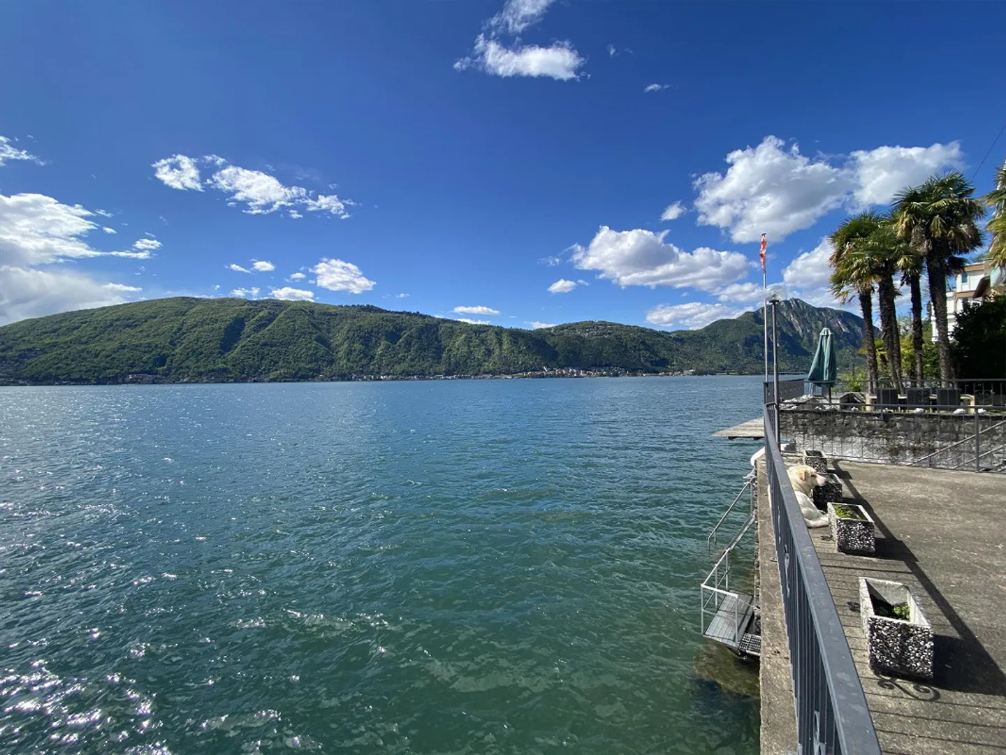 Villa prestigiosa sulle rive del lago con darsene private - Foto 9 di 13