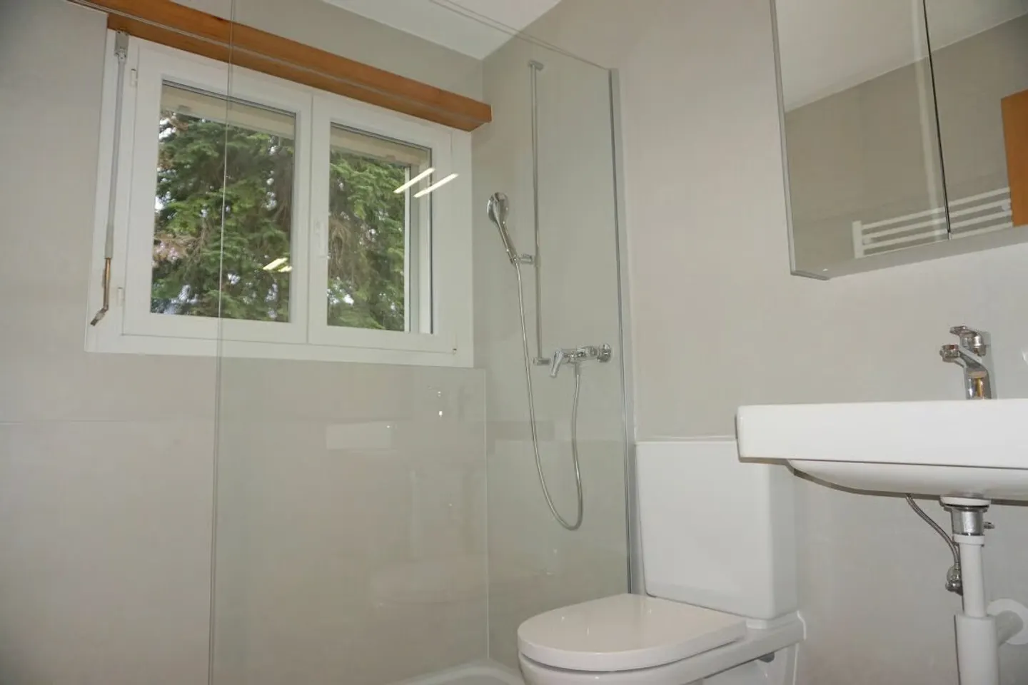 ARI-249 Magnificent renovated 4.5-room apartment with parking - Photo 10 of 17