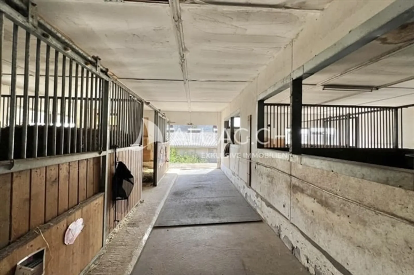 Incantevole tenuta di campagna per uomini e animali - Foto 16 di 18