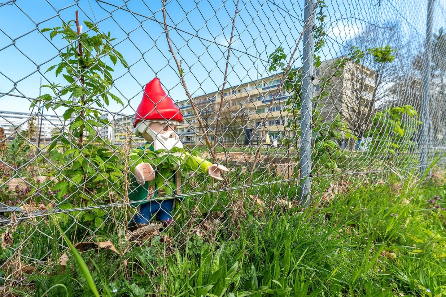 1217 Meyrin - Appartamento di 4 stanze in vendita - Foto 2 di 8