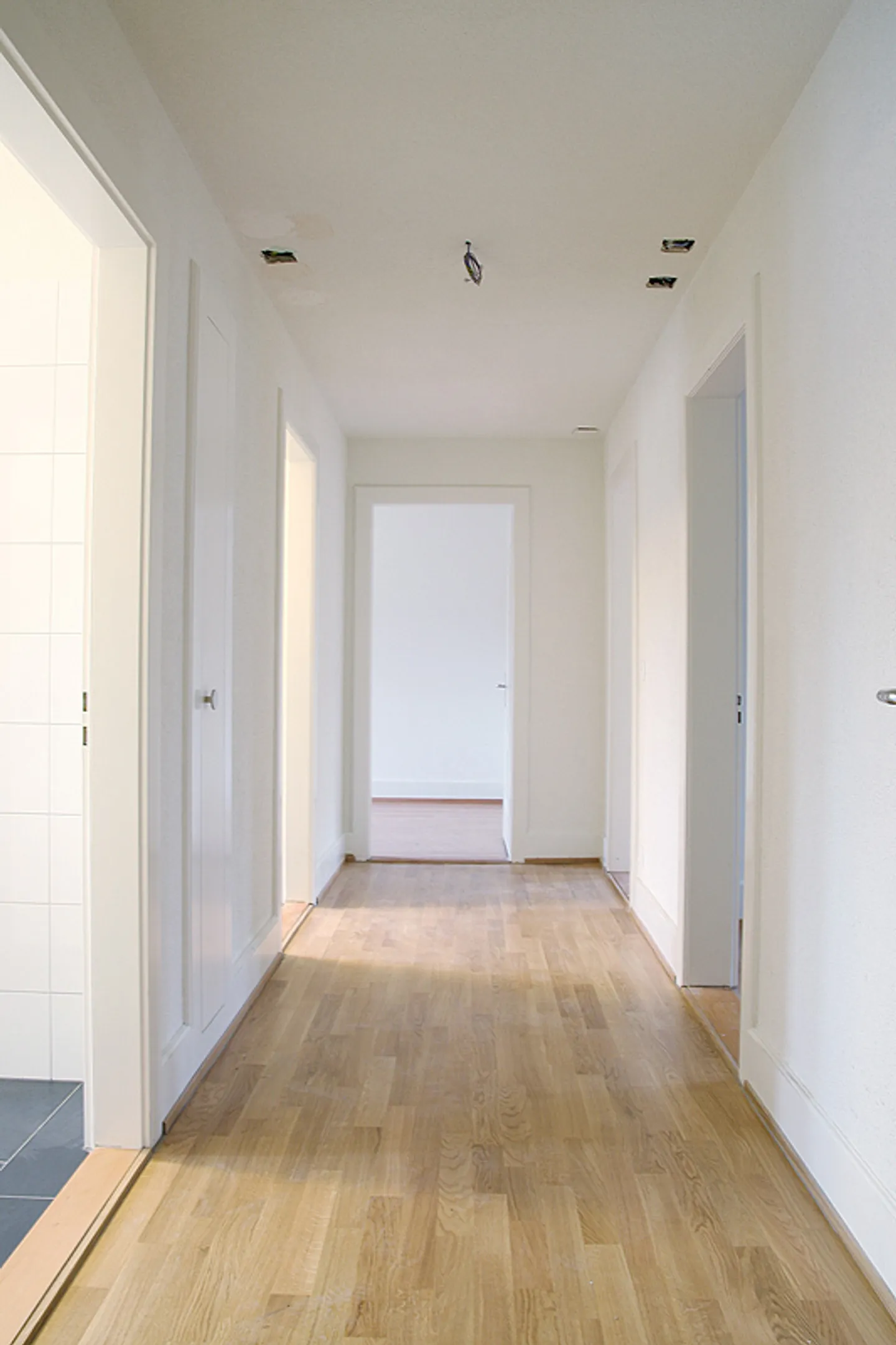 Bellissimo appartamento nel centro di Wollishofen - Foto 4 di 6