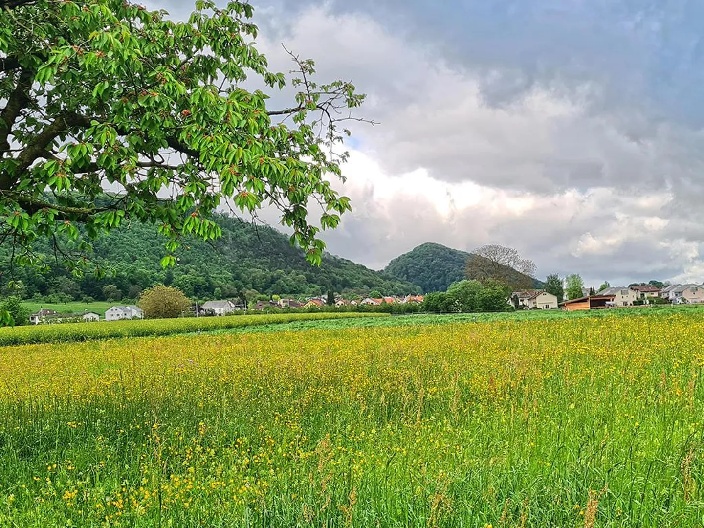 Home for sale, Witterswil (Witterswil, Switzerland) - Photo 1 of 3