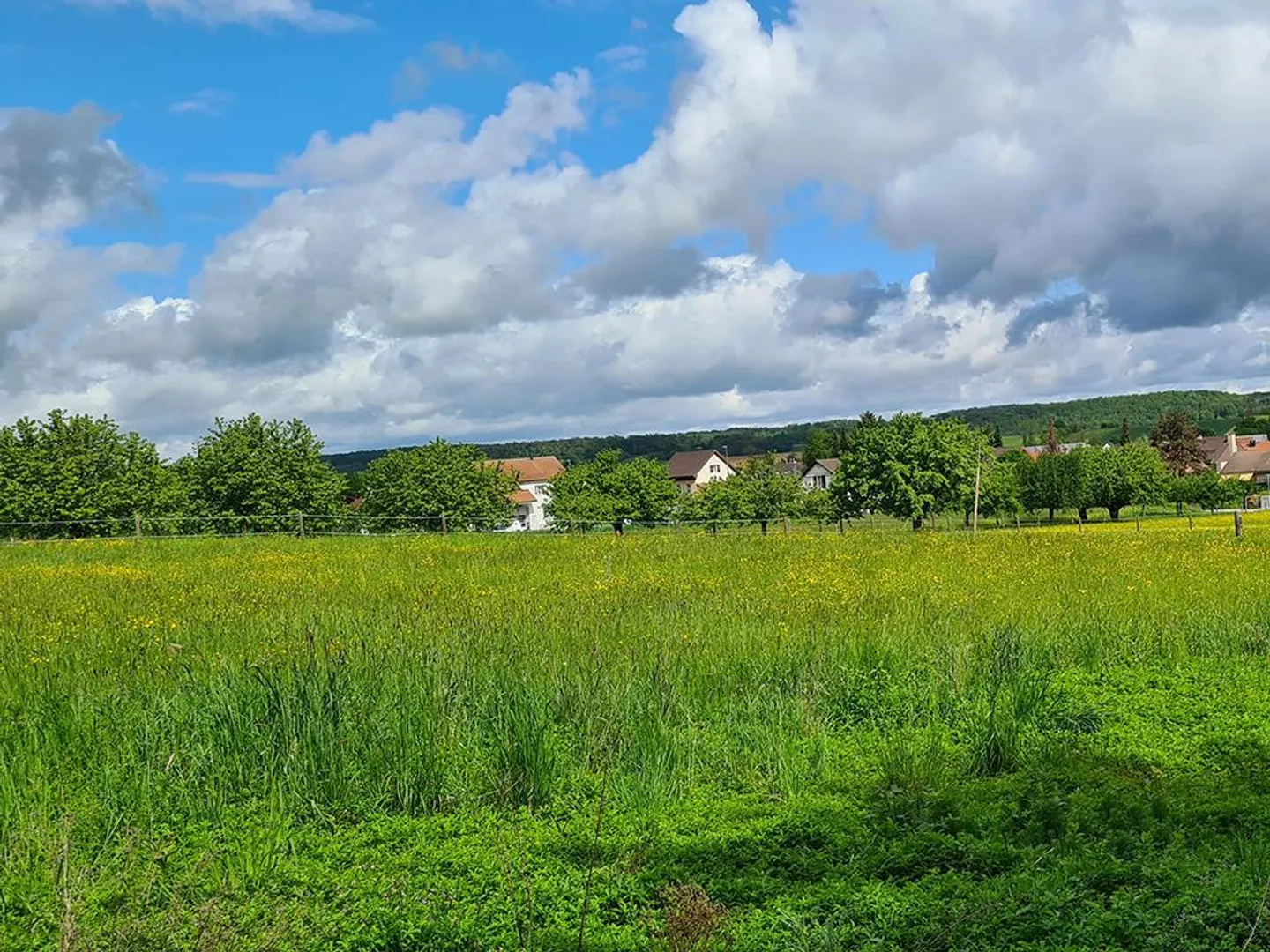 Home for sale, Witterswil (Witterswil, Switzerland) - Photo 3 of 3