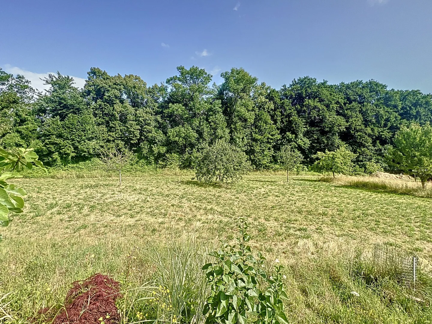 Twin Villa - Photo 7 of 9