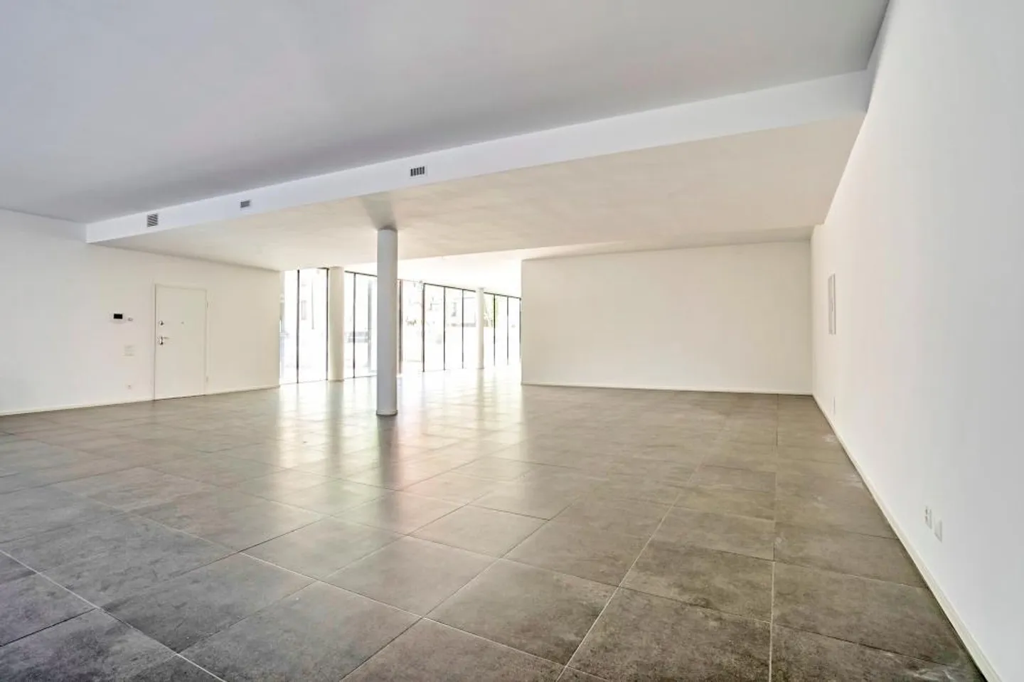 Large commercial space of recent construction in Paradiso - Photo 2 of 8