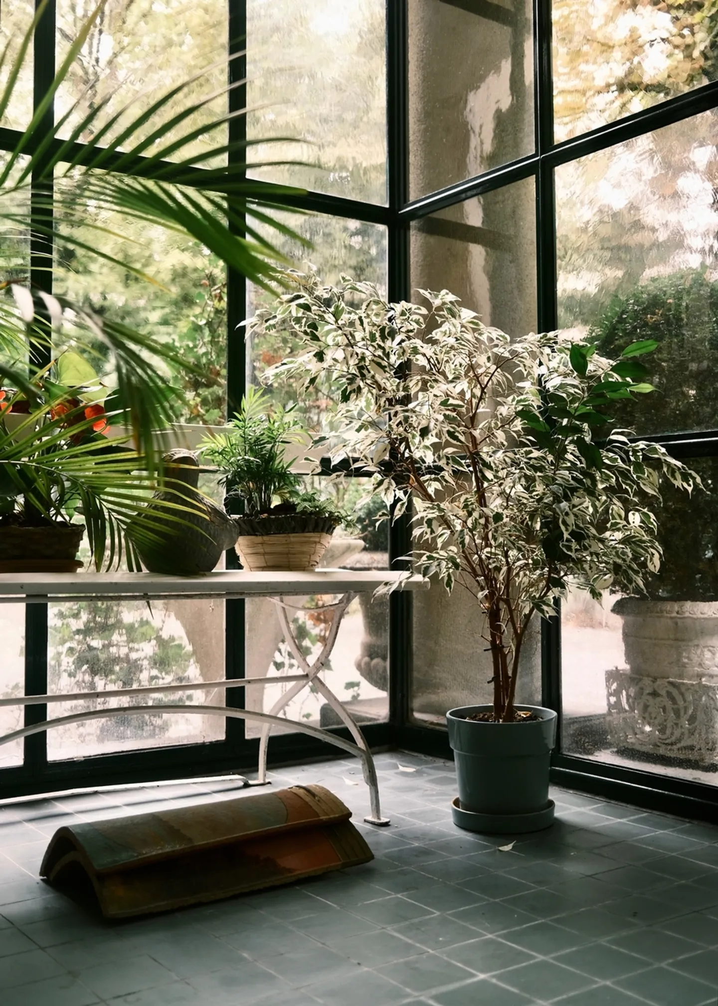 Comfortable Shared Living Space - Photo 12 of 13