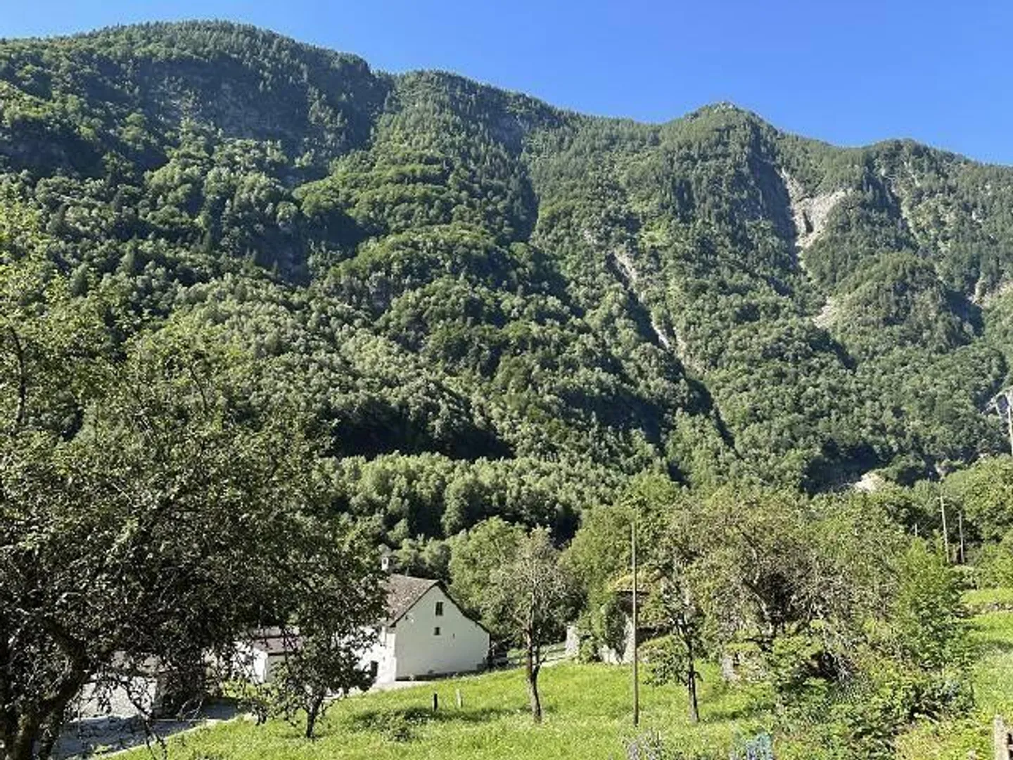 «grosses Anwesen mit viel Wiese und Wald an sehr sonniger, ruhiger Aussichtslage / grande proprietà con prato e bosco» - Foto 18 von 32