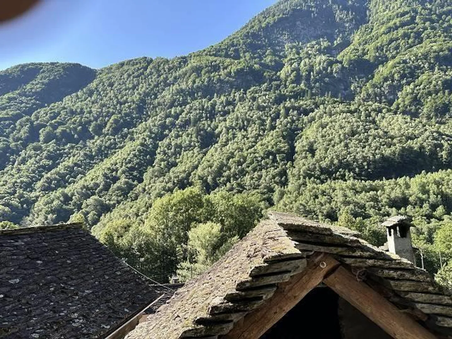 «grosses Anwesen mit viel Wiese und Wald an sehr sonniger, ruhiger Aussichtslage / grande proprietà con prato e bosco» - Foto 19 von 32