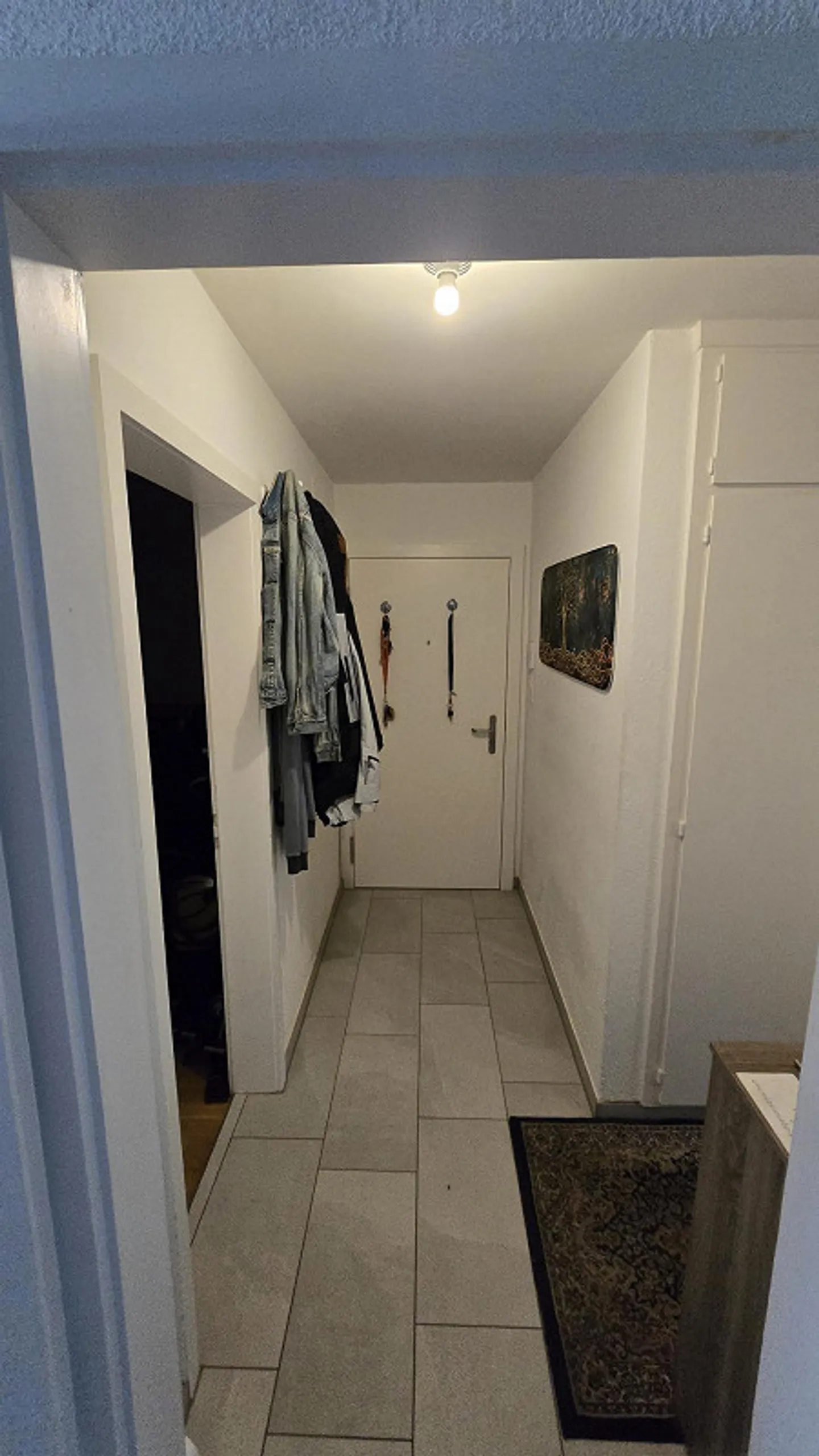 Cercasi nuovo inquilino a 4410 Liestal. Appartamento tranquillo con 2 stanze - Foto 4 di 13