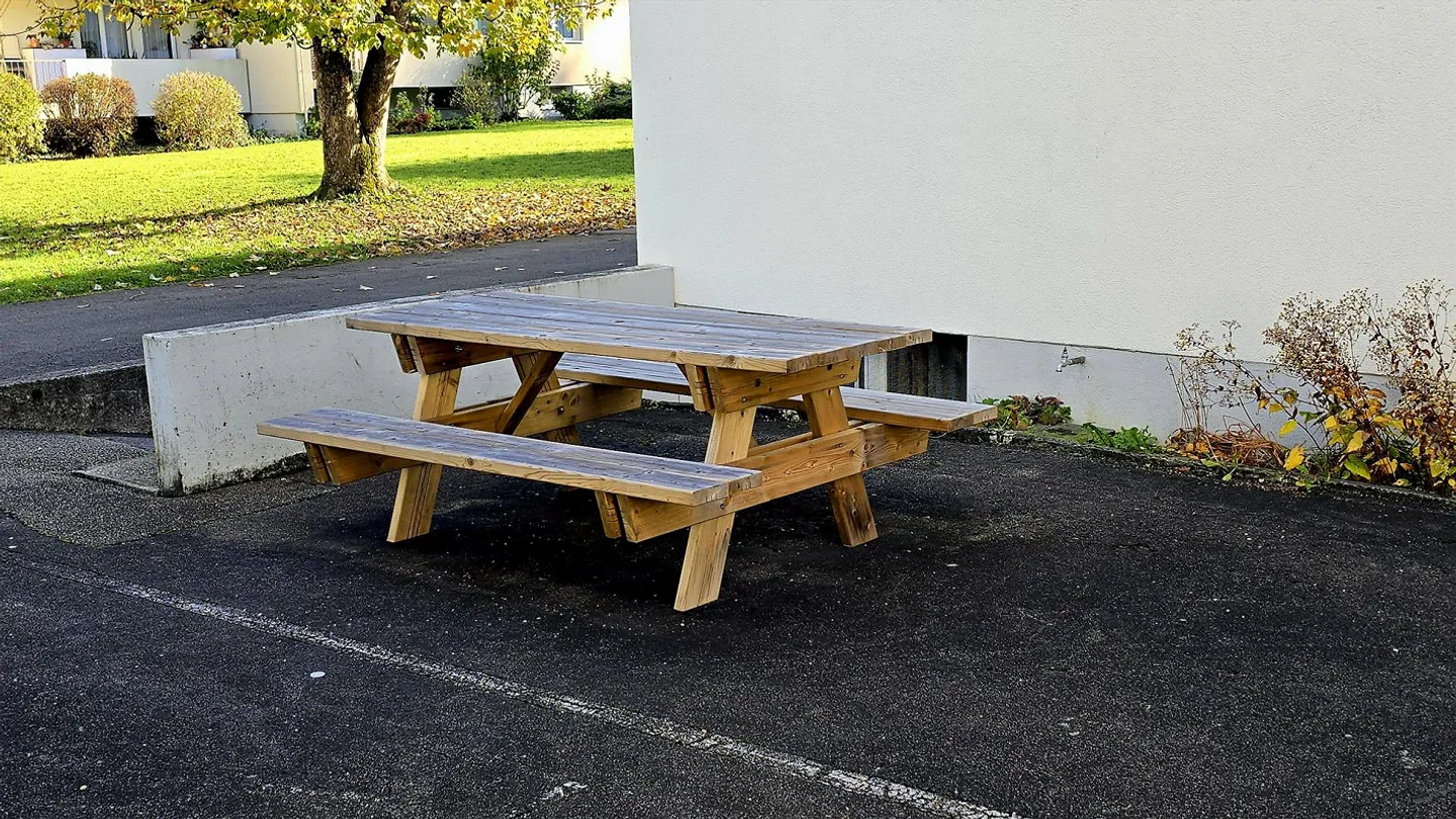 Cercasi nuovo inquilino a 4410 Liestal. Appartamento tranquillo con 2 stanze - Foto 11 di 13