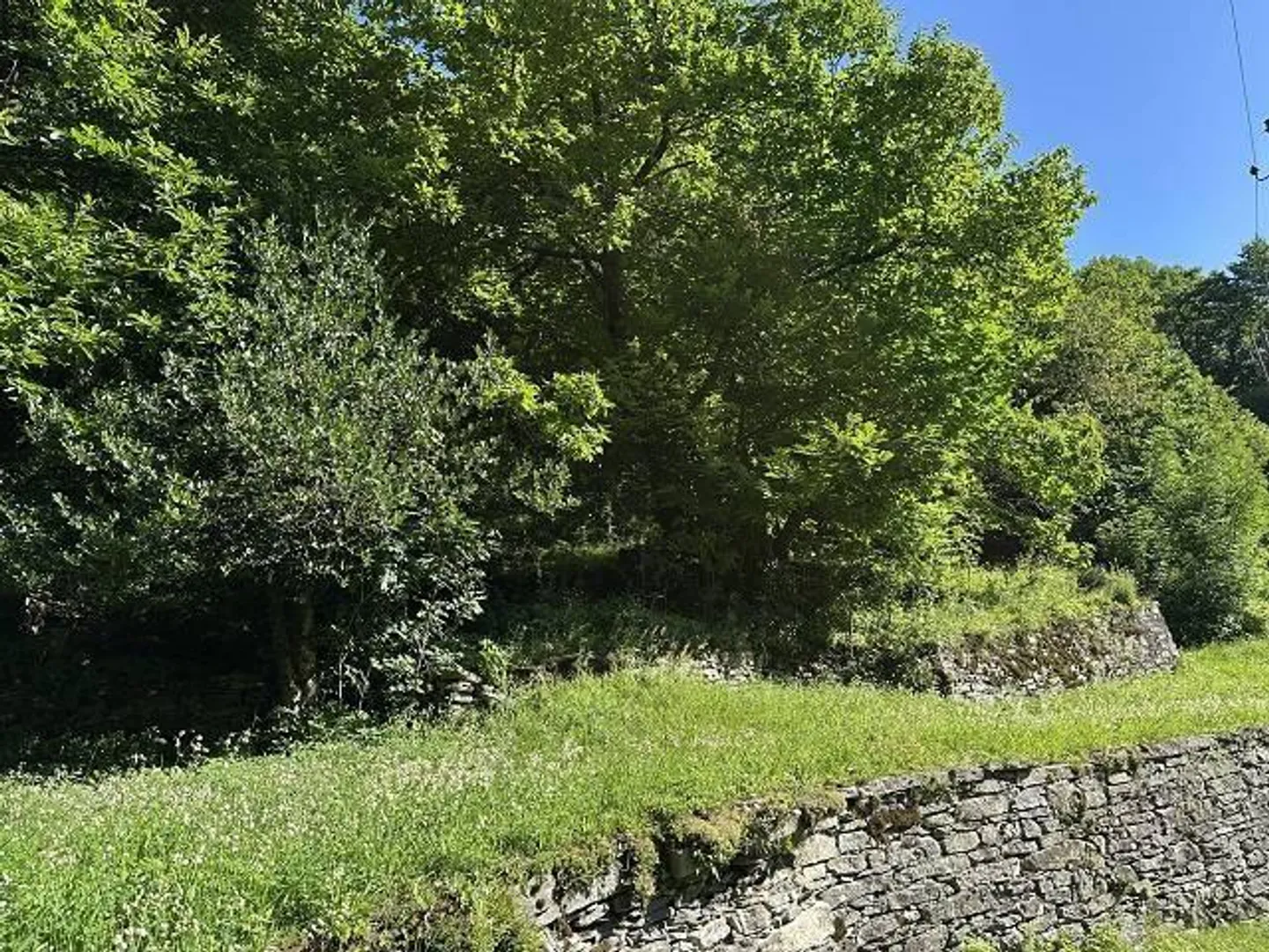 «grosses Anwesen mit viel Wiese und Wald an sehr sonniger, ruhiger Aussichtslage / grande proprietà con prato e bosco» - Foto 23 von 32