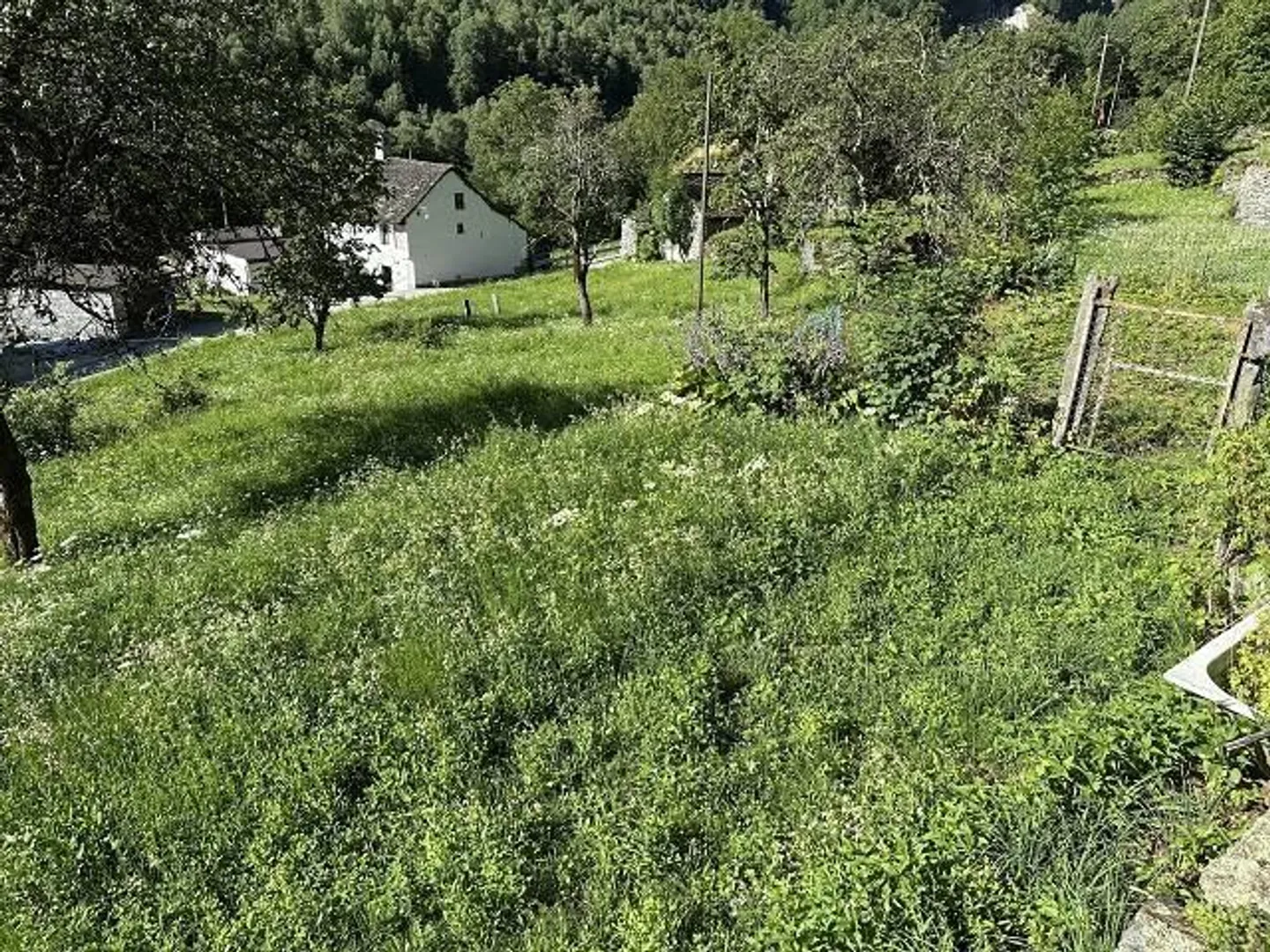 «grosses Anwesen mit viel Wiese und Wald an sehr sonniger, ruhiger Aussichtslage / grande proprietà con prato e bosco» - Foto 24 von 32