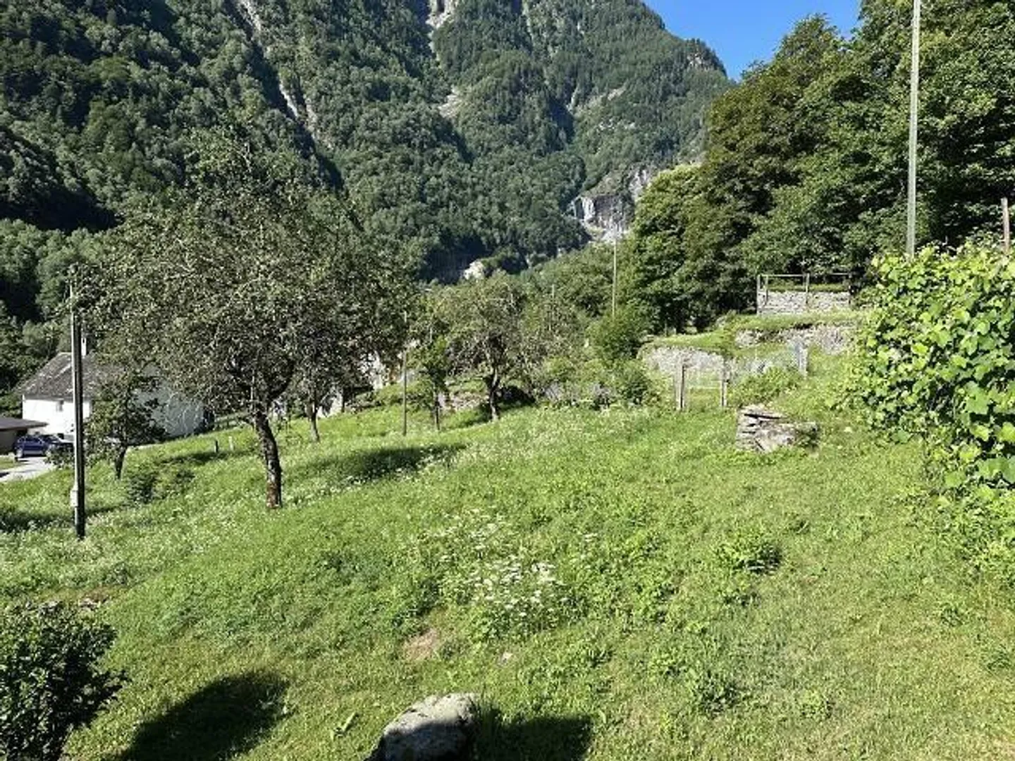 «grosses Anwesen mit viel Wiese und Wald an sehr sonniger, ruhiger Aussichtslage / grande proprietà con prato e bosco» - Foto 25 von 32