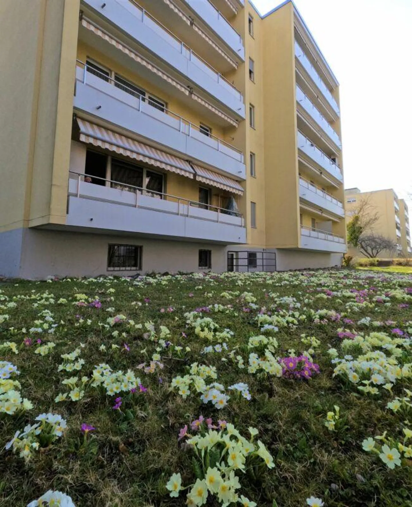 Appartamento 4 stanze - Foto 2 di 8
