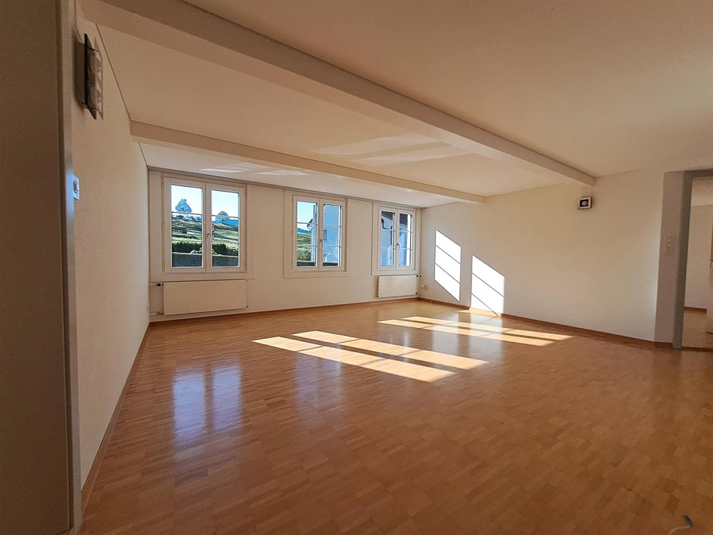 Bright 4.5 Room Apartment - Photo 4 of 11