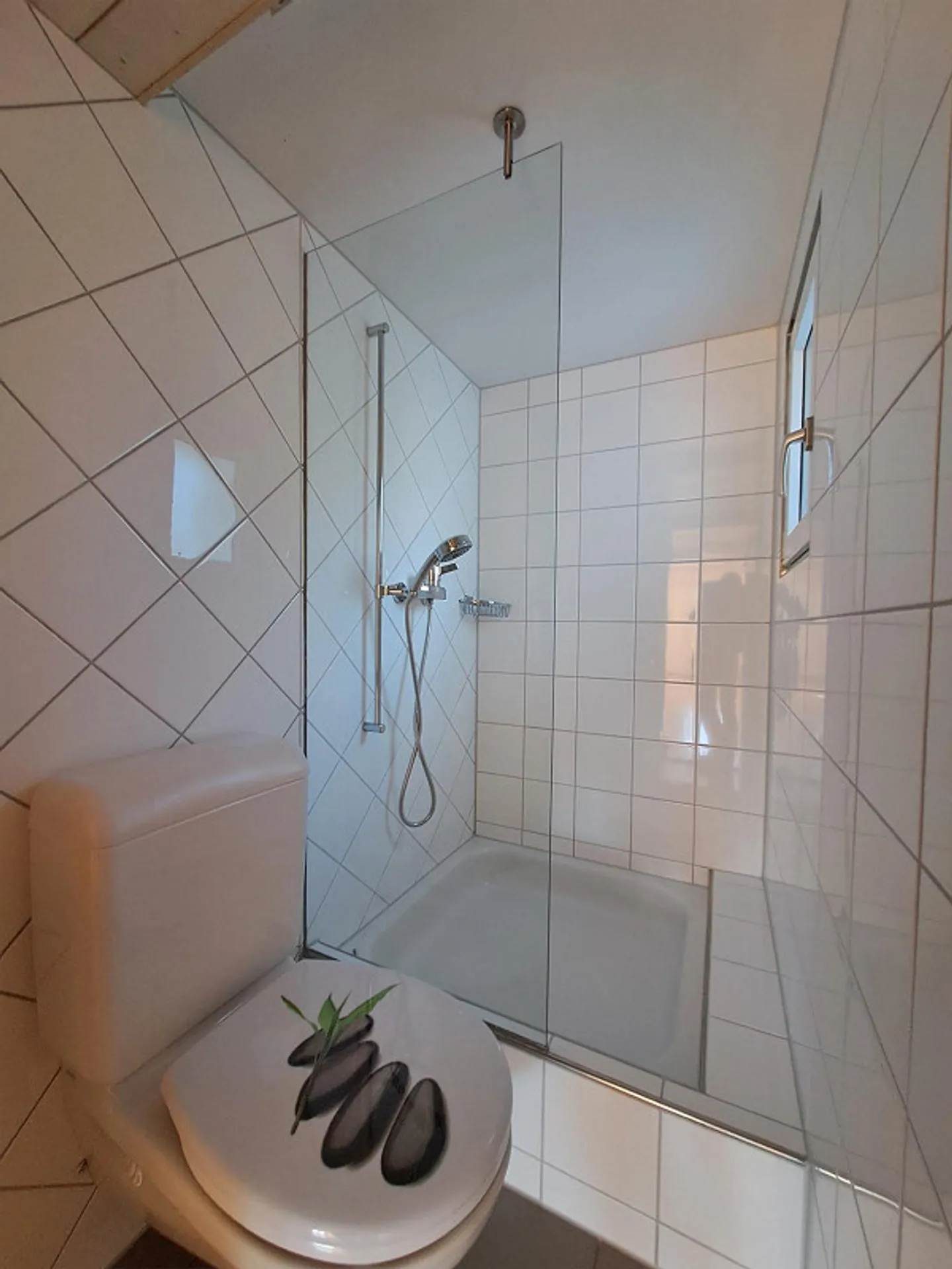 Bright 4.5 Room Apartment - Photo 9 of 11