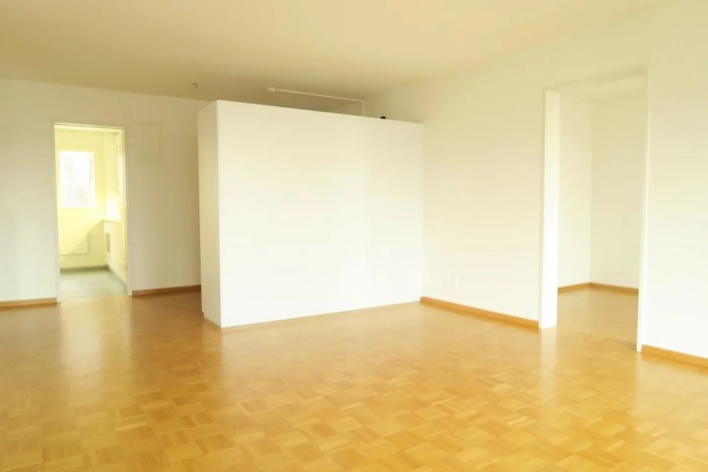 Appartement ensoleillé avec grand balcon et terrasse sur le toit partagée - Photo 5 sur 12